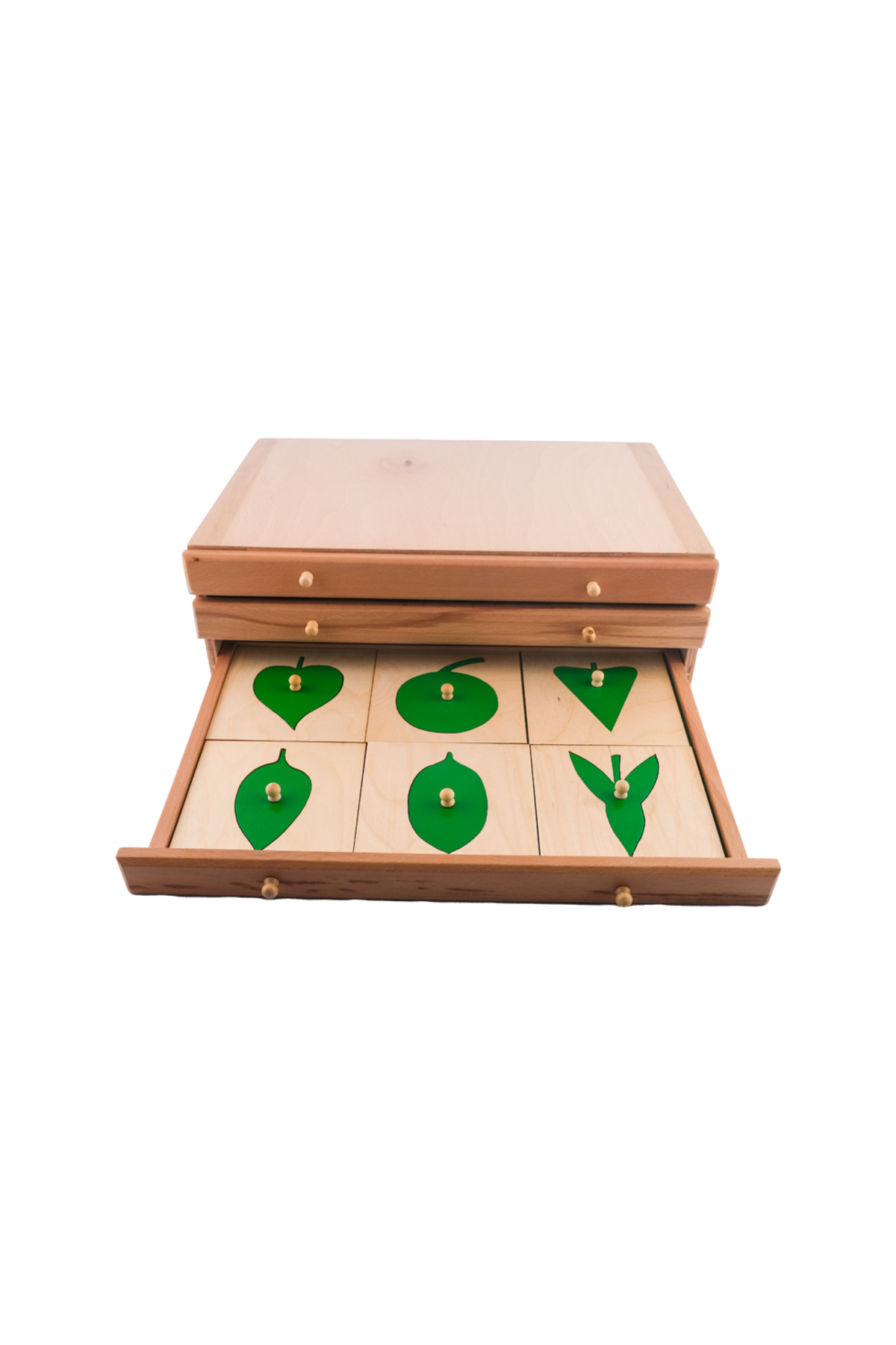 BALATOYZ Montessori Yaprak Kartları Komodini fotoğrafı 5 (önizleme)