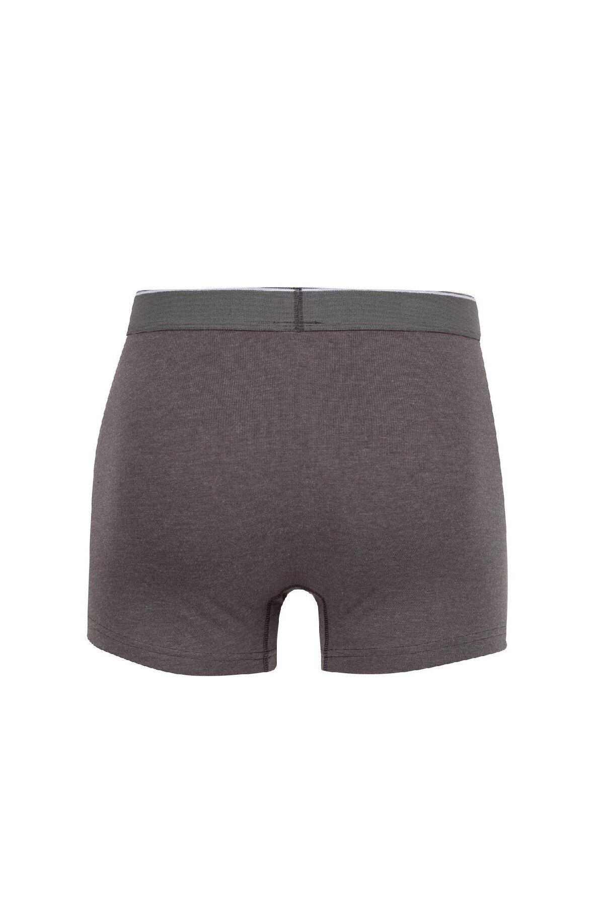 DeFacto-Regular Fit 3-dielny boxer C9550ax24au 3