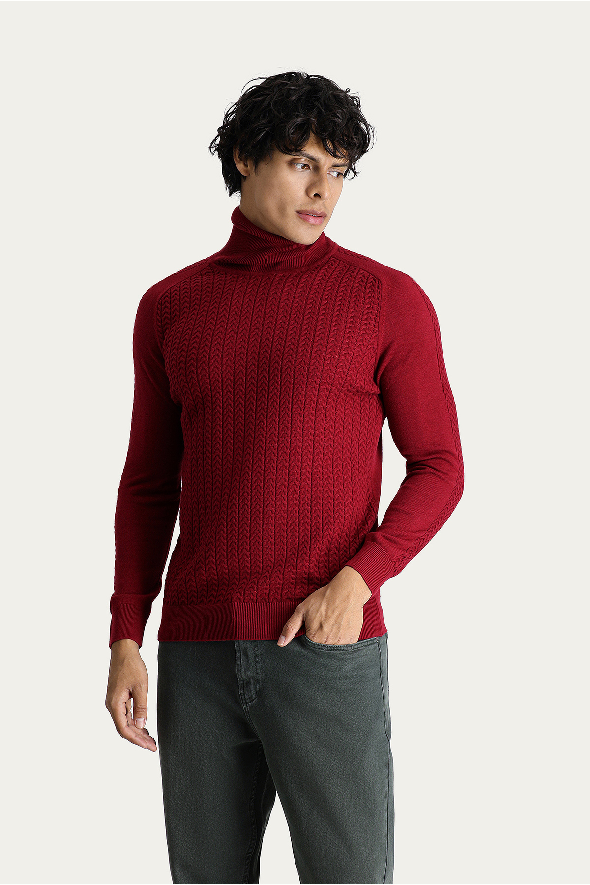 Kiğılı  Balıkçı Yaka Slim Fit Dar Kesim Desenli Triko Kazak - Görsel 3