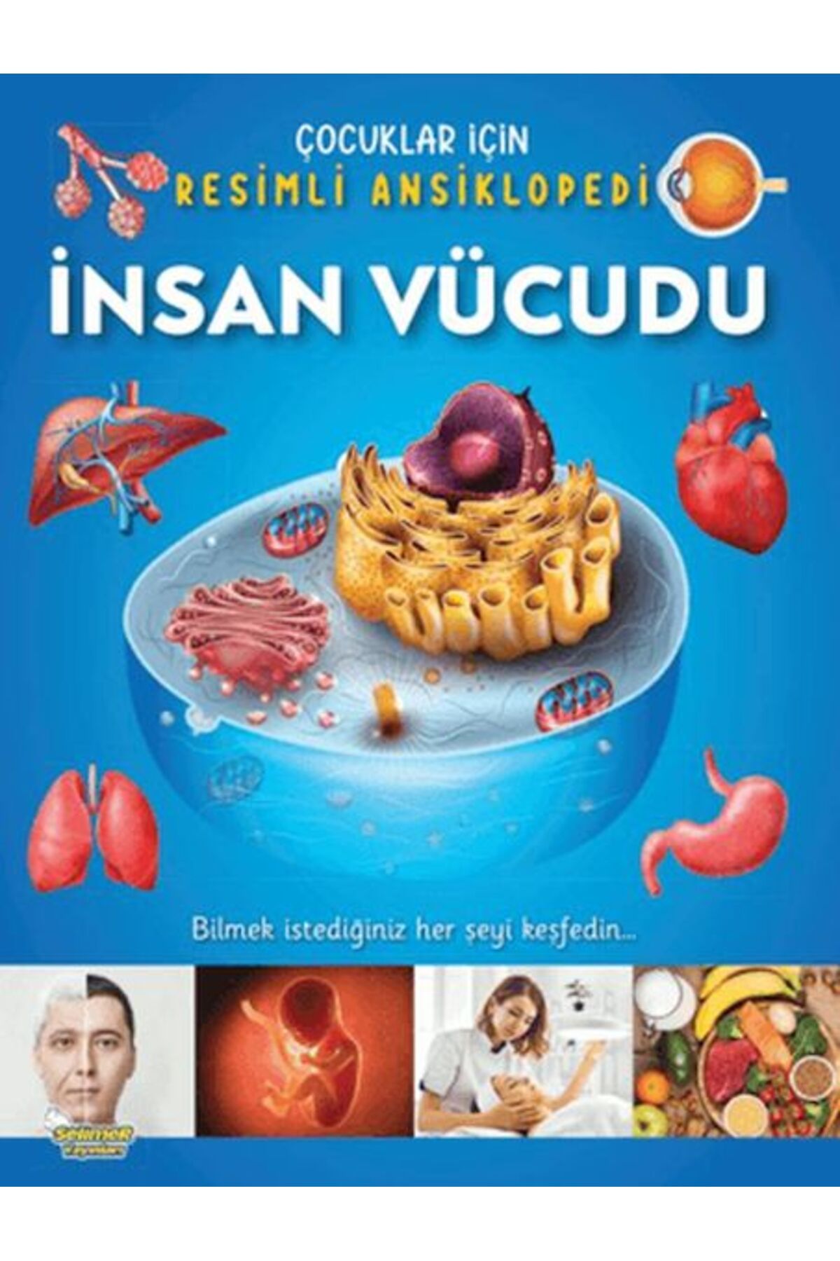 Selimer Yayınları İnsan Vücudu - Çocuklar İçin Resimli Ansiklopedi