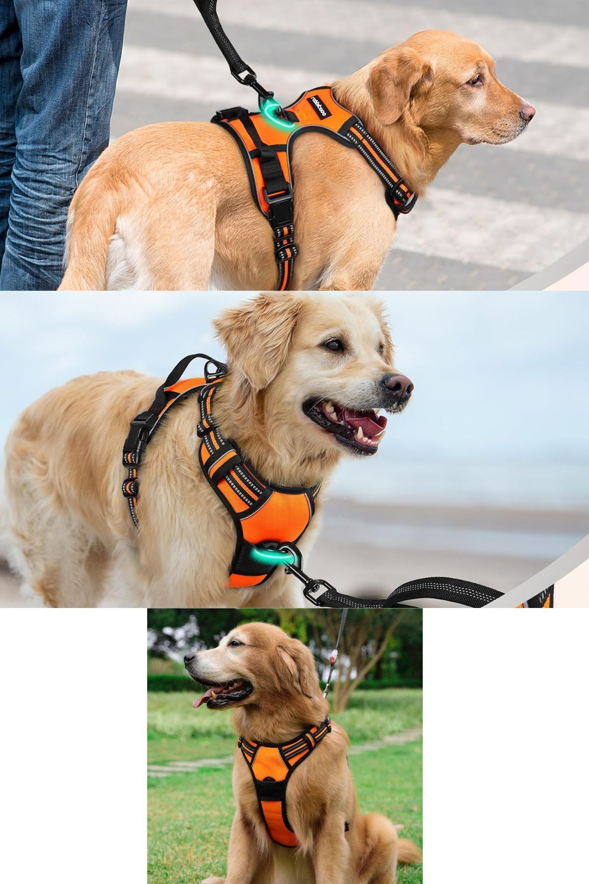 ESPAW-Dog Leash with Reflectors and Walking and Training Set for Medium and Large Breed 6