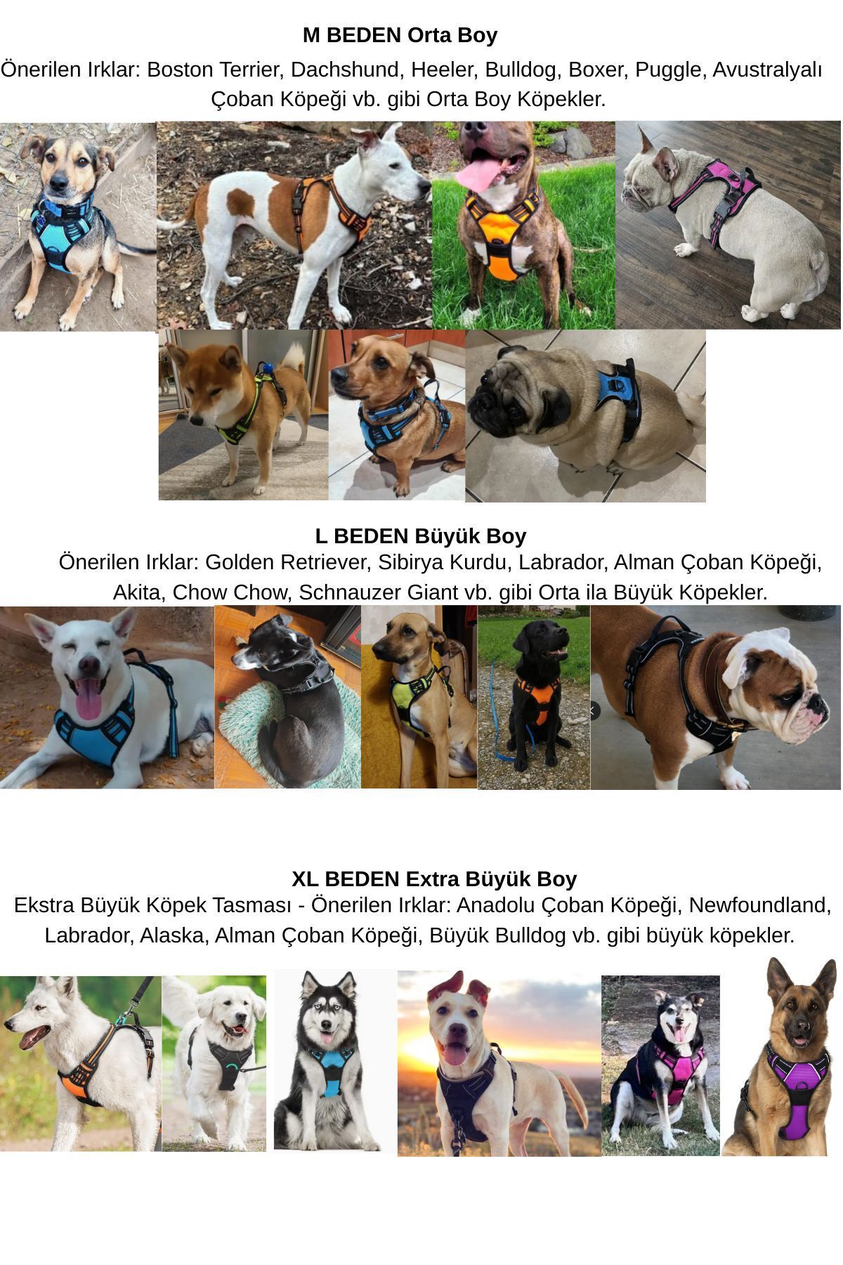 ESPAW-Dog Leash with Reflectors and Walking and Training Set for Medium and Large Breed 5