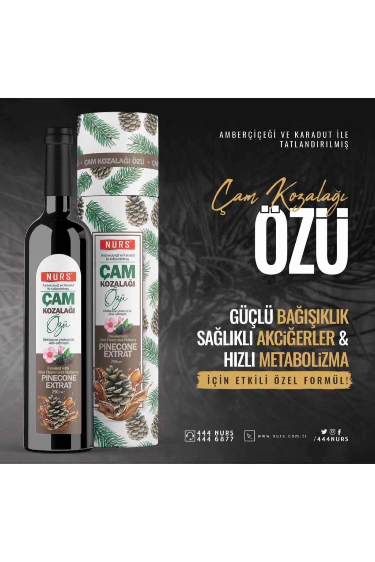 Çam kozalağı özü şurubu akciğer detoxu