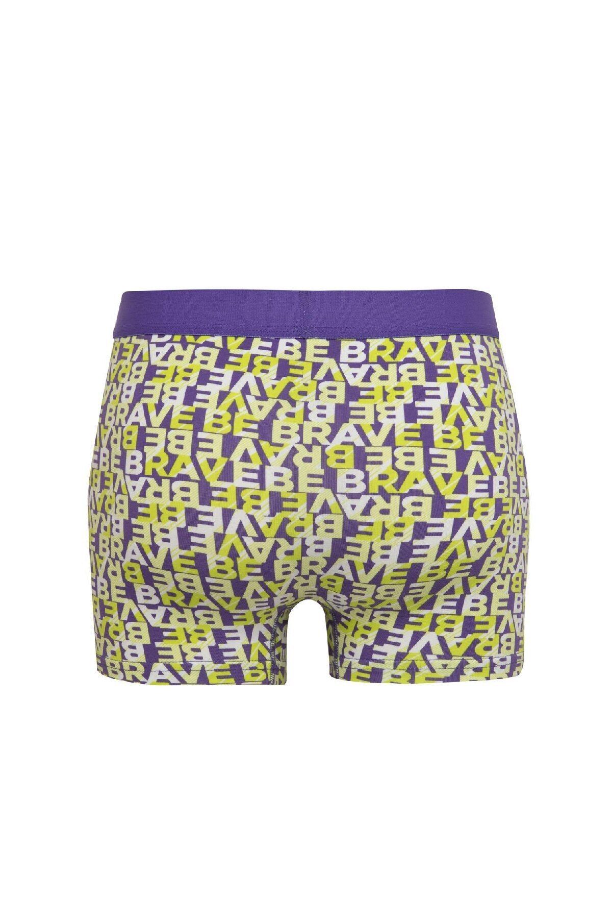 DeFacto-Regular Fit 3 Boxer B7968Ax24Sp 3