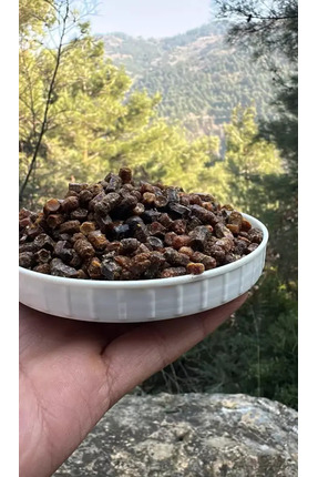 Balkovan Doğal Organik Arı Ekmeği 100gr.