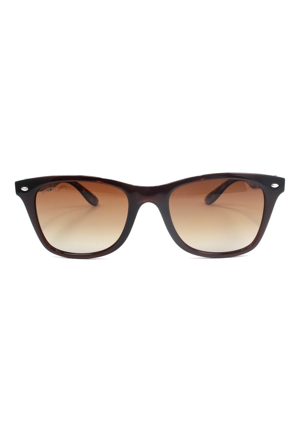 Swing-154 C01 51 Swing Polarized Sunglasses 4
