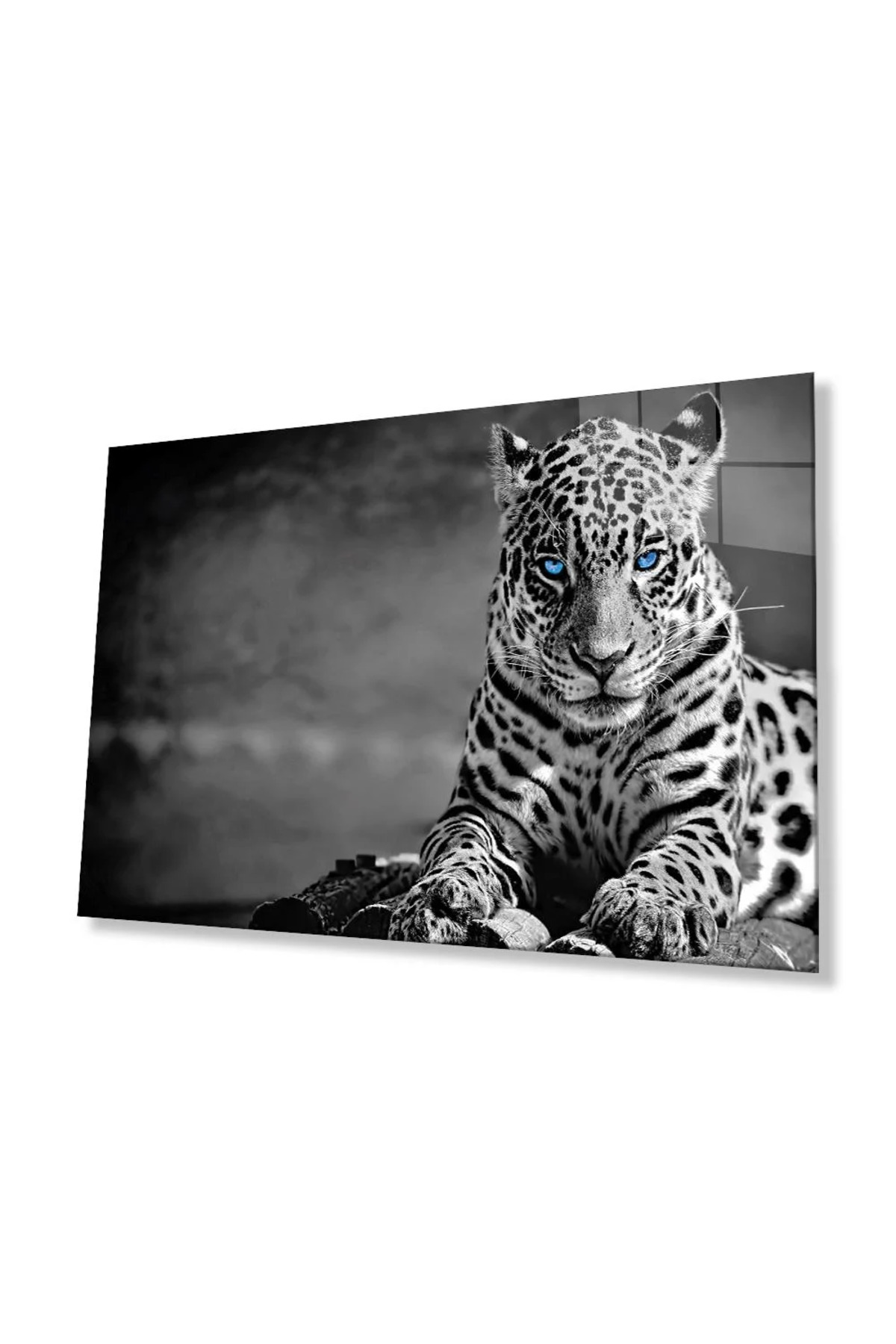 Jaguar Cam Tablo