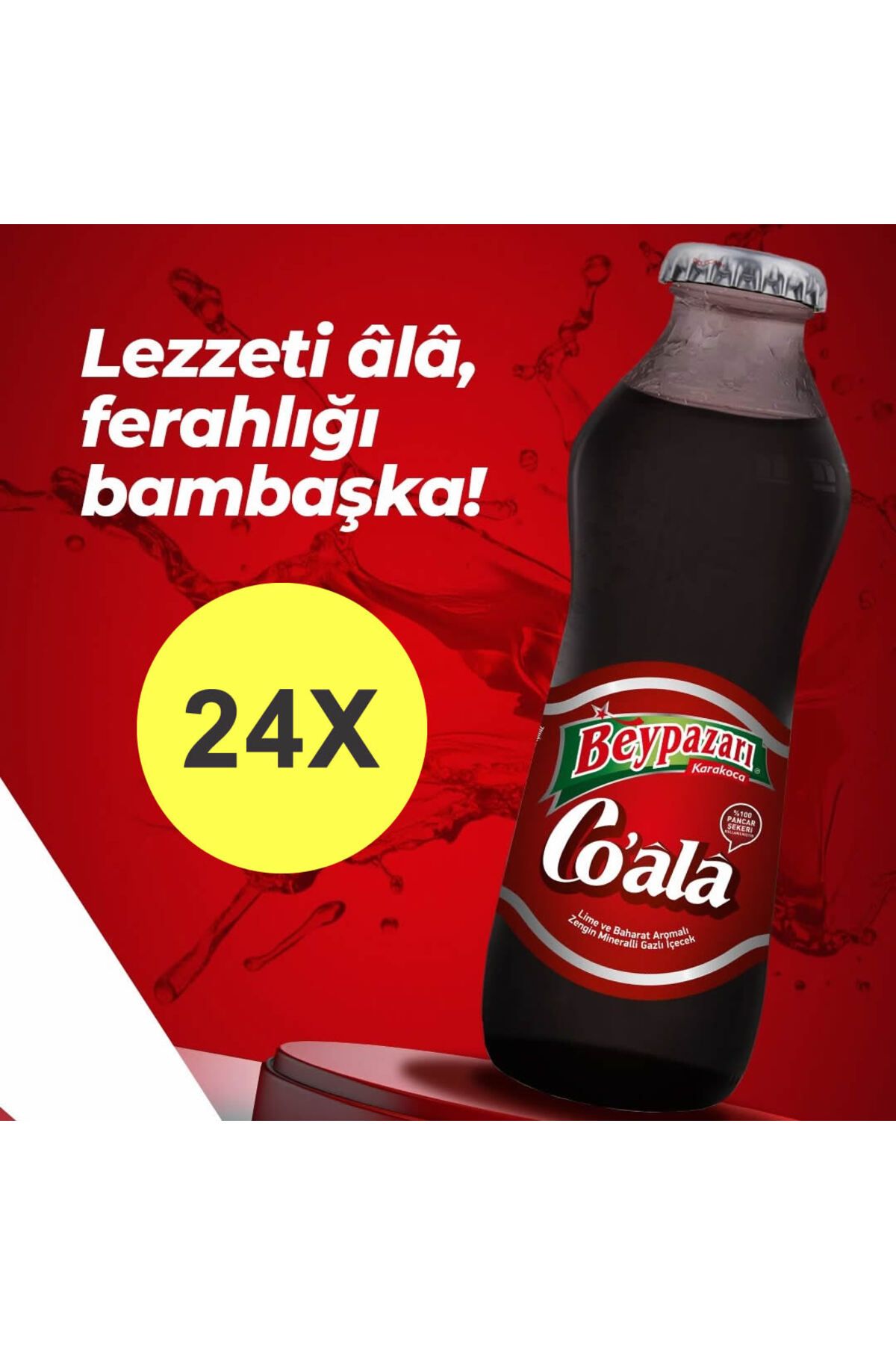 Beypazarı Beypazarı Co ala Lime ve Baharat Aromalı Maden Suyu 200 ML x 24 Adet