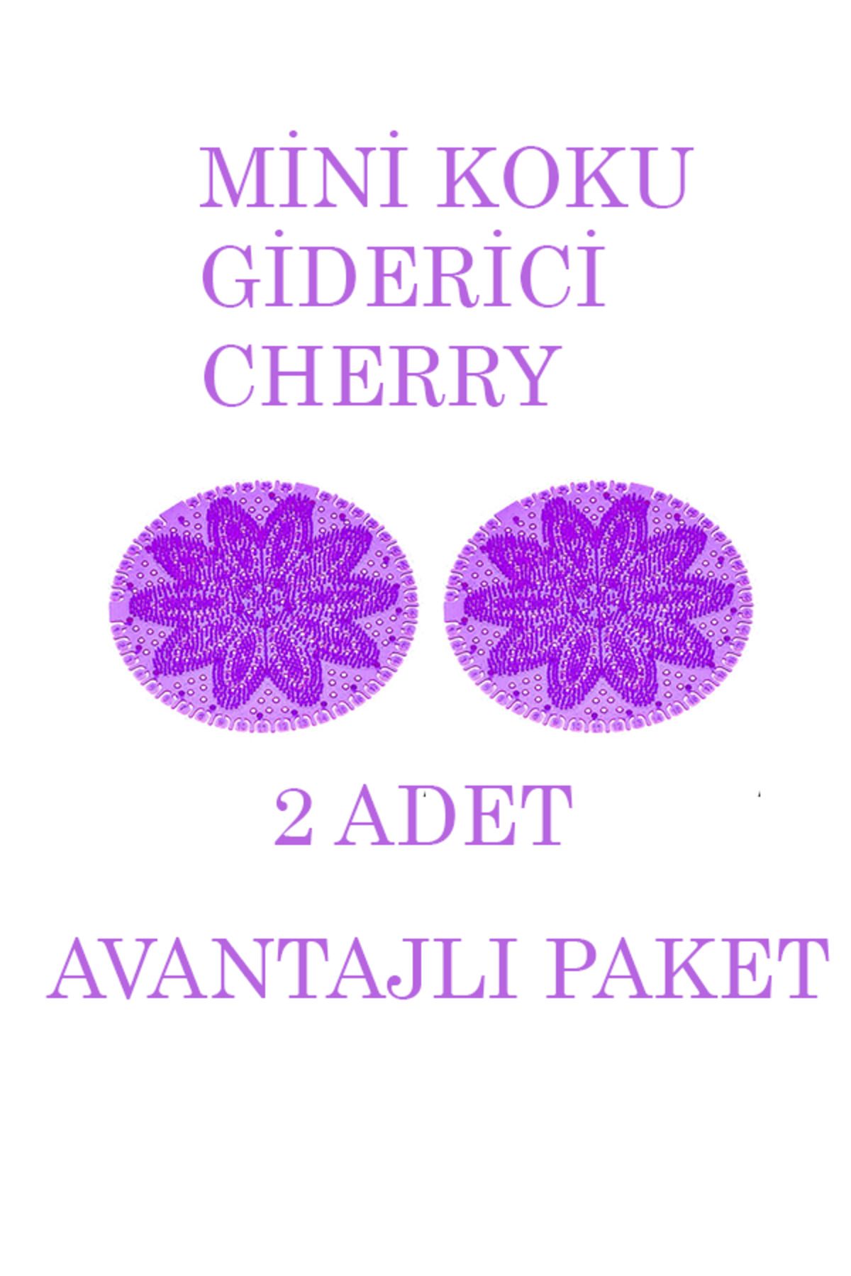Rulopak Mini Lavabo Pisuvar Süzgeci Koku Giderici Cherry 2'li Paket