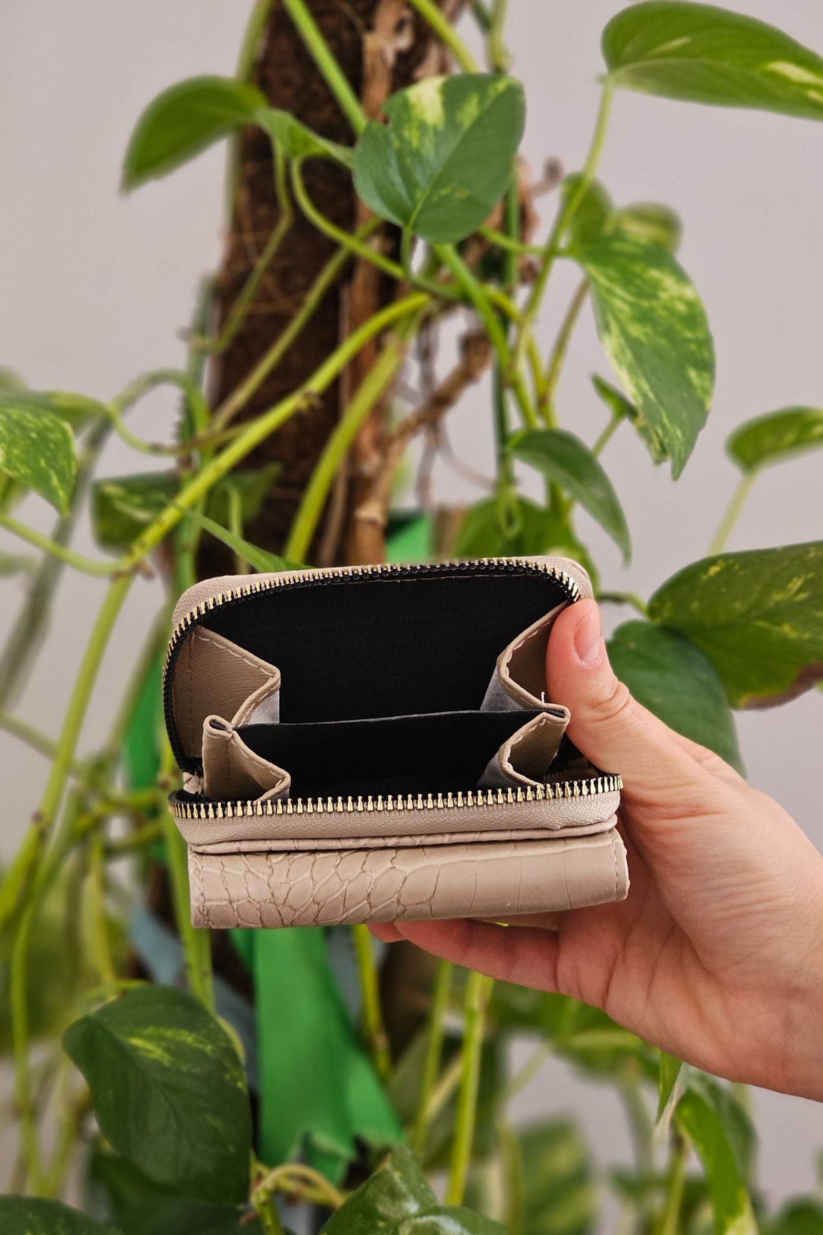 Mazel Design-Zippered Women's wallet 2