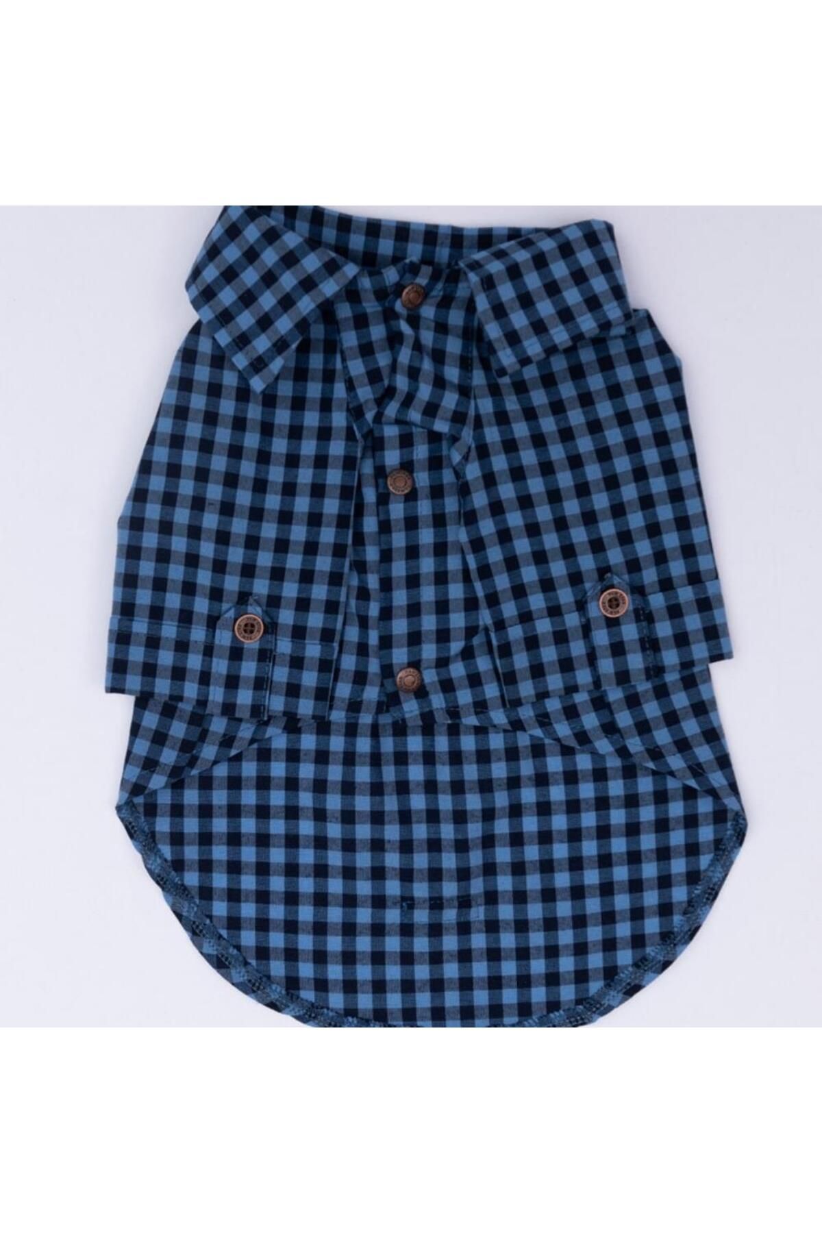Pawstar-Blue Luss Cat Dog Shirt - Cat Dog Apparel 5