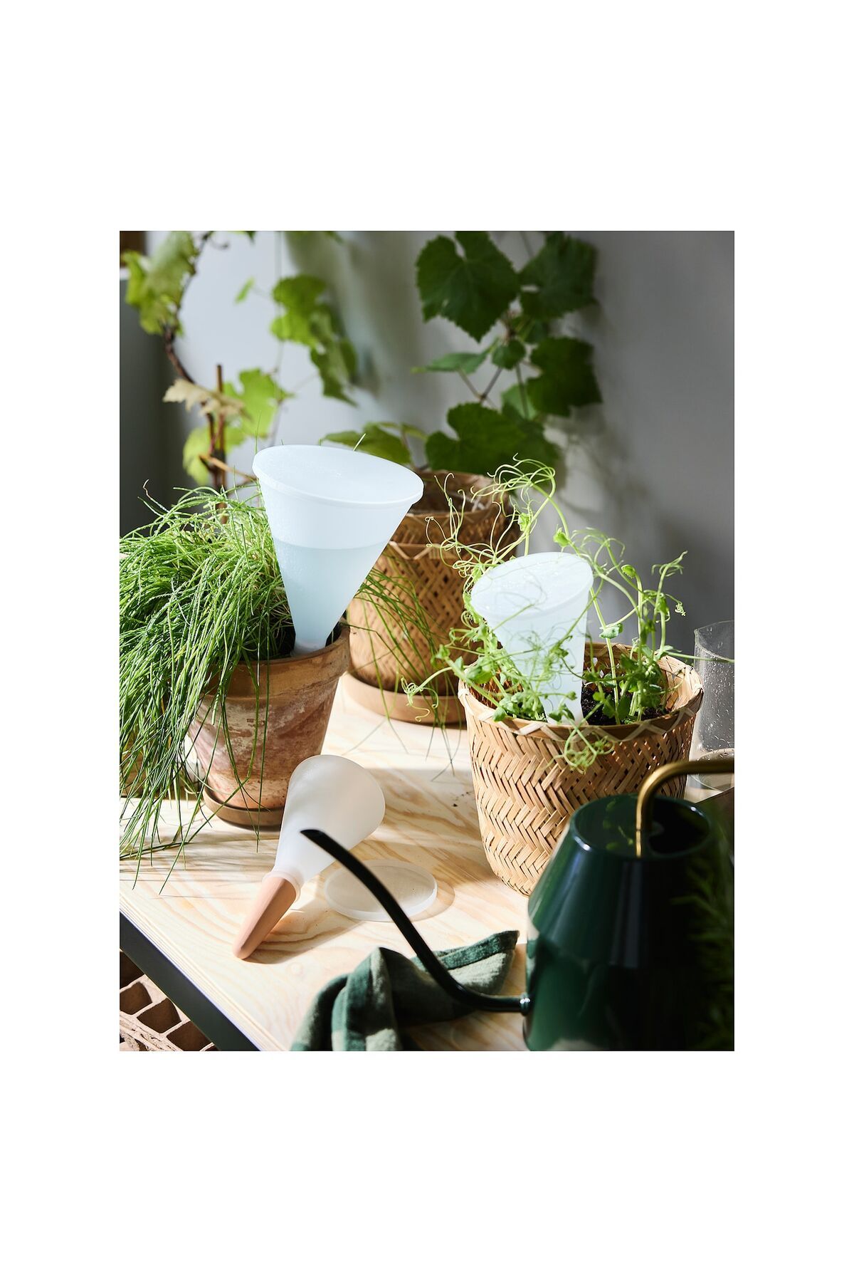 IKEA-Svämskog Self-watering Insert, Terracotta/transparent, 70 Cl 3