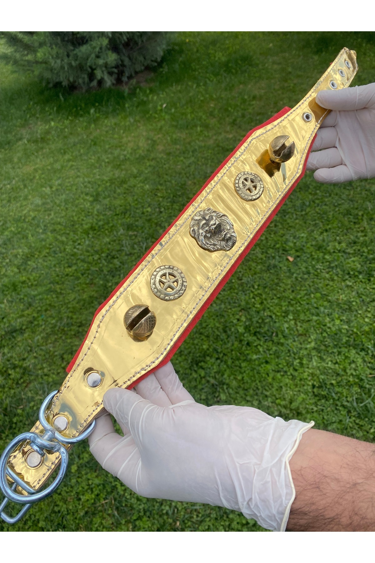 Sürmeli Tasma-Puppy Kangal Dog Collar - Gold Series with 2 Bells - Real Leather 3