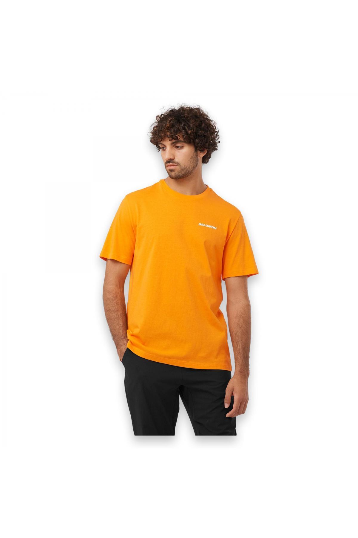 سالومون تی شرت مردانه نارنجی مدل Lc2219400 Graphic Perf Ss Tee M