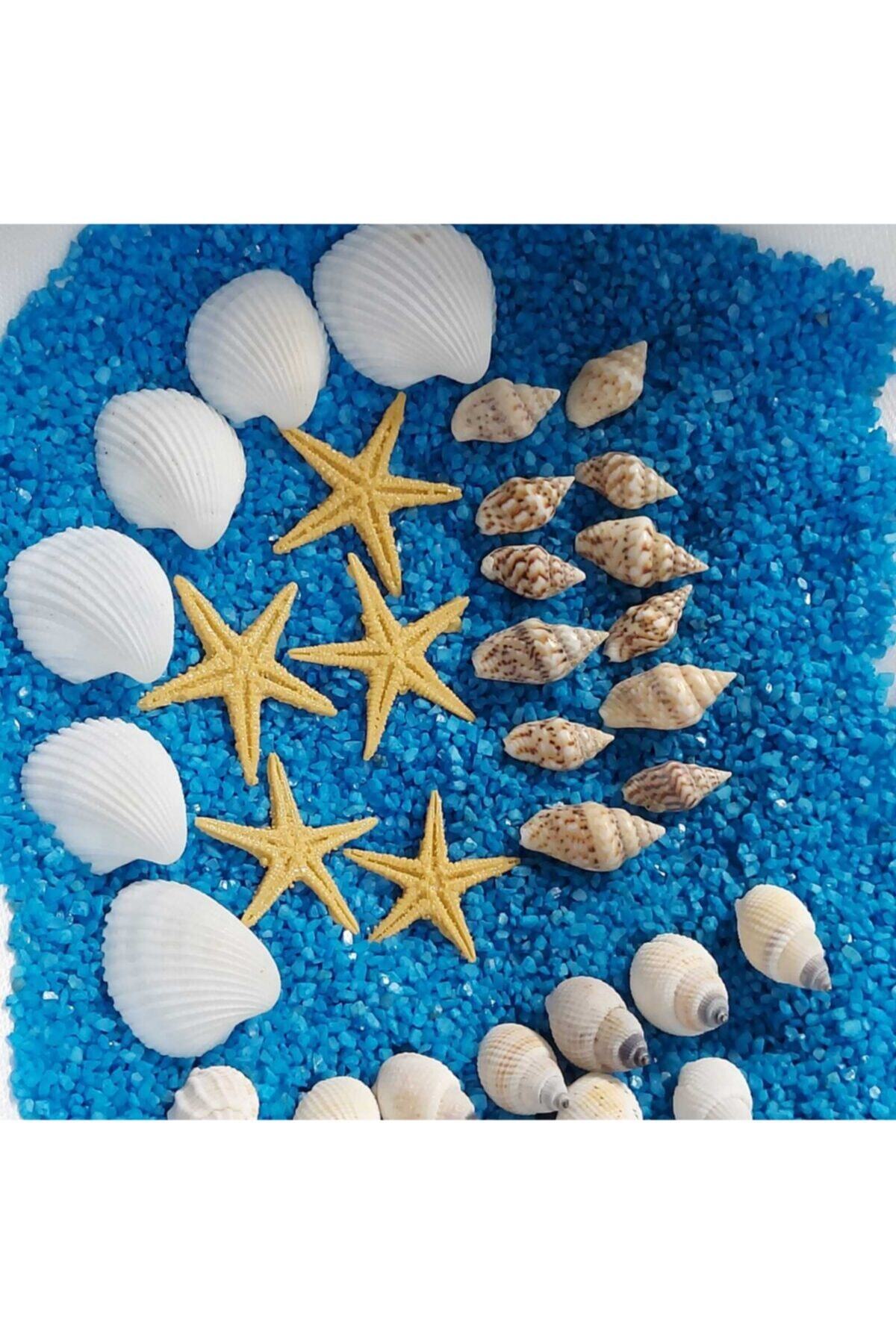 Aker Hediyelik 75gr Deniz Kabukları Silis Kabuk 07mm-2,5cm Karma Deniz Kabuğu + 75gr Teraryum Mavi Kum+yıldız