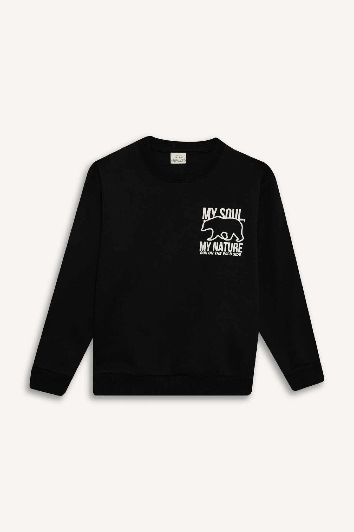 DeFacto-Boy's Crew Neck Back Printed Inside Soft Feather Sweatshirt D6227A824Cw 8