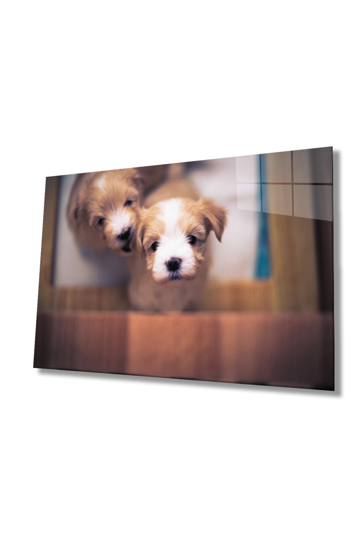 Evlika Köpekler Cam Tablo