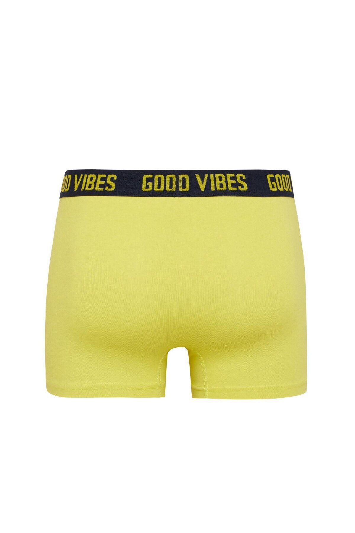 DeFacto-Regular Fit Patterned 3-Piece Boxers C3284Ax24Wn 3