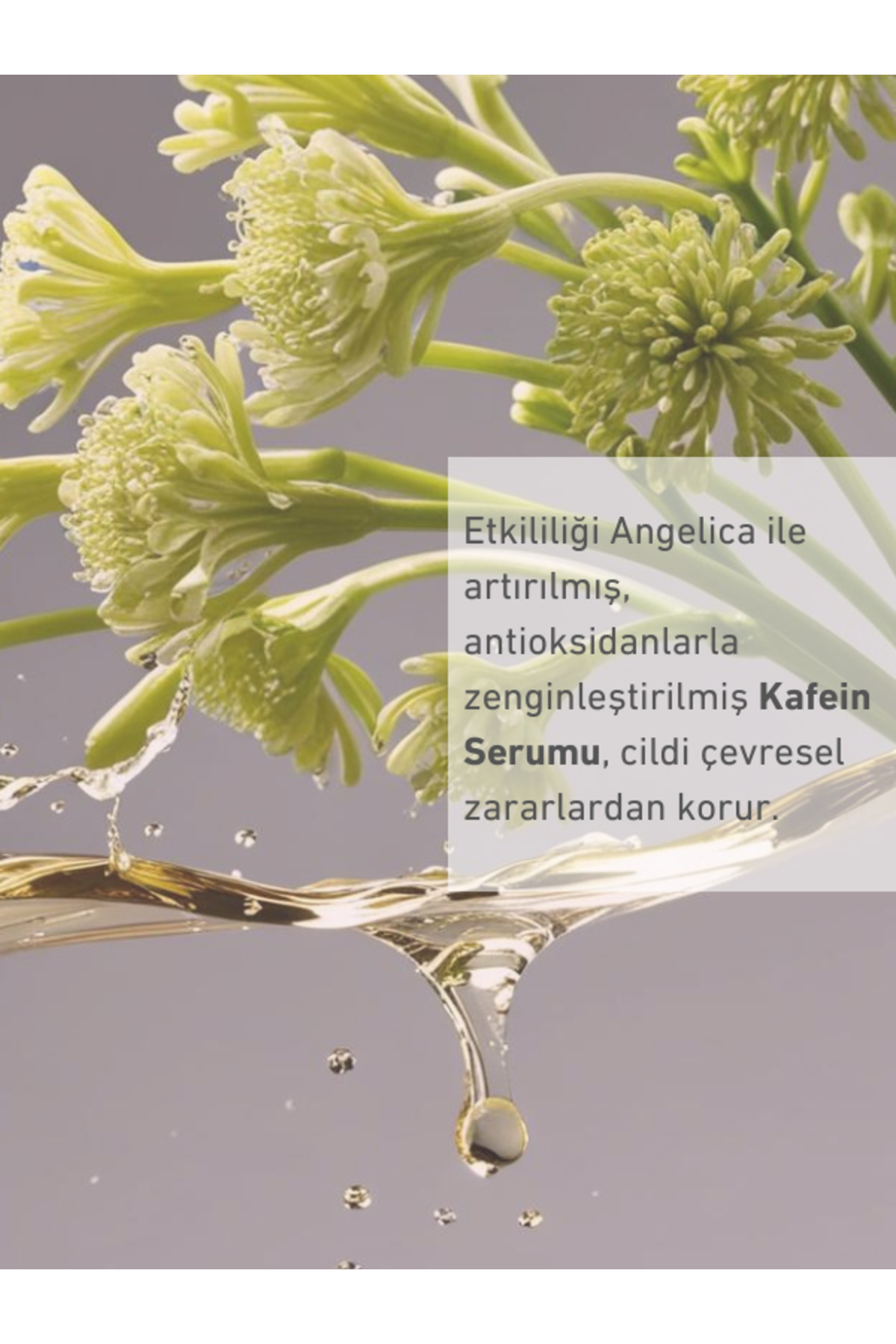 Nordea Göz Çevresi Için Aydınlatıcı Kafein Serum — 5170501 — تصویر 4 از 6