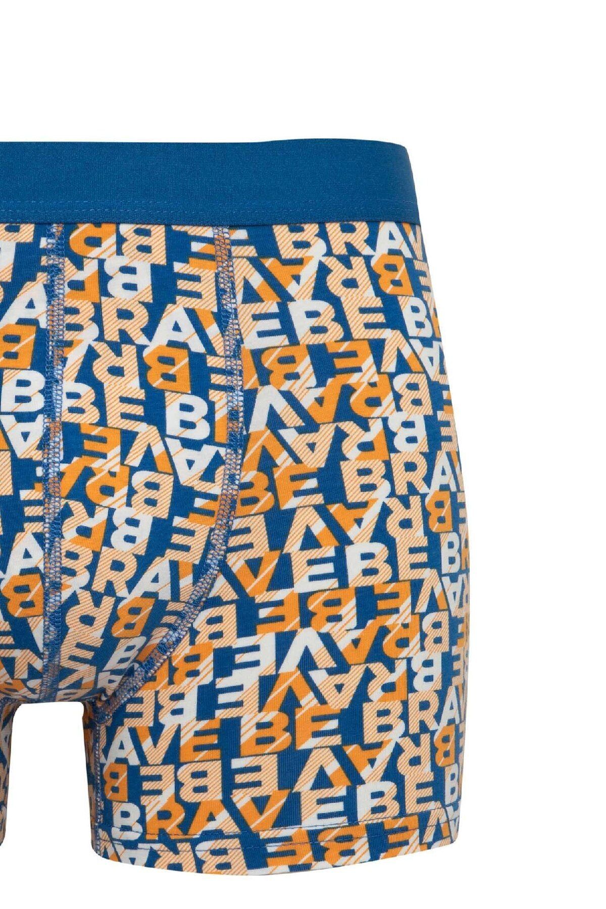 DeFacto-Regular Fit 3 Boxer B7968Ax24Sp 6