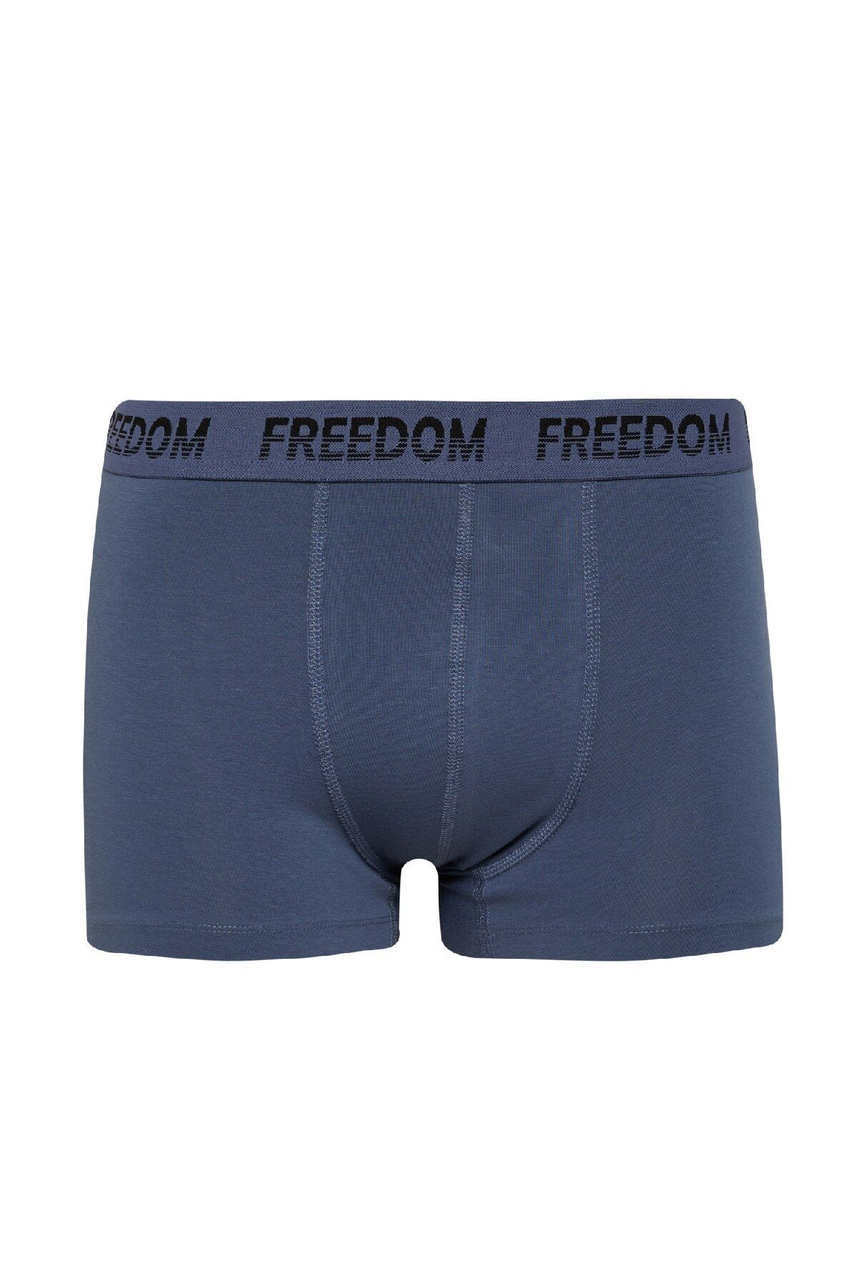 DeFacto-Regular Fit 3-pack Boxer E2922ax25sp 2