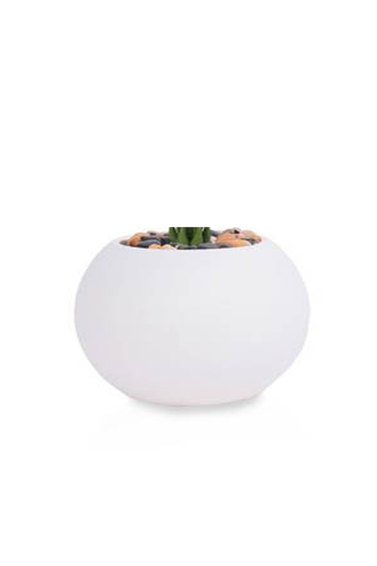 Generic-Artificial Alocasia Heart Leaf Seedling in Round Plastic Pot 3