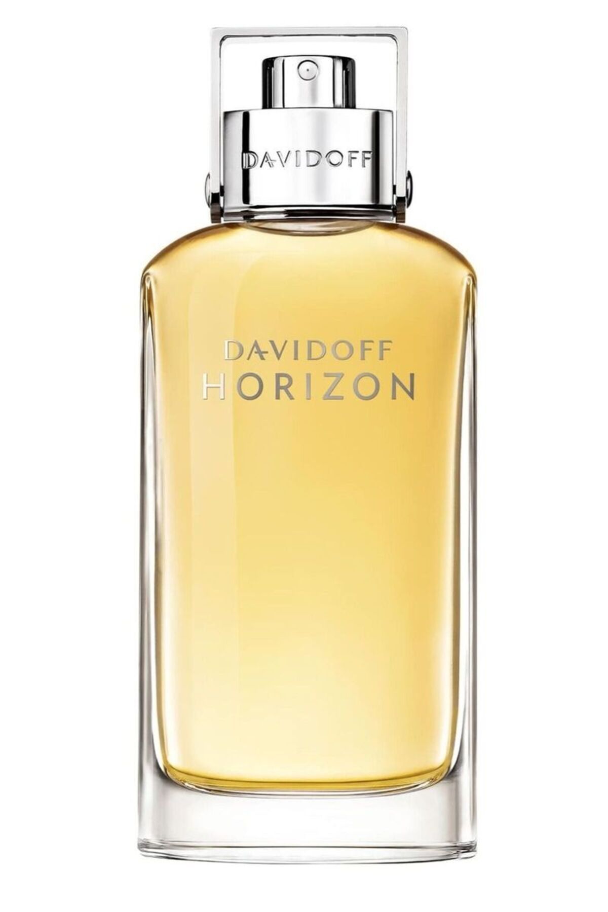 Davidoff-DAVIDOFF HORIZON (M) EDT 125ML 2