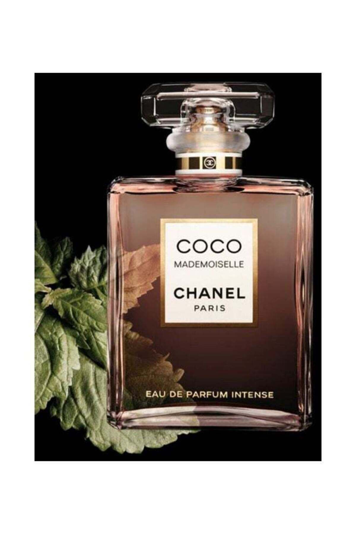 Chanel-Coco Mademoiselle Intense EDP for Women 100ml 3