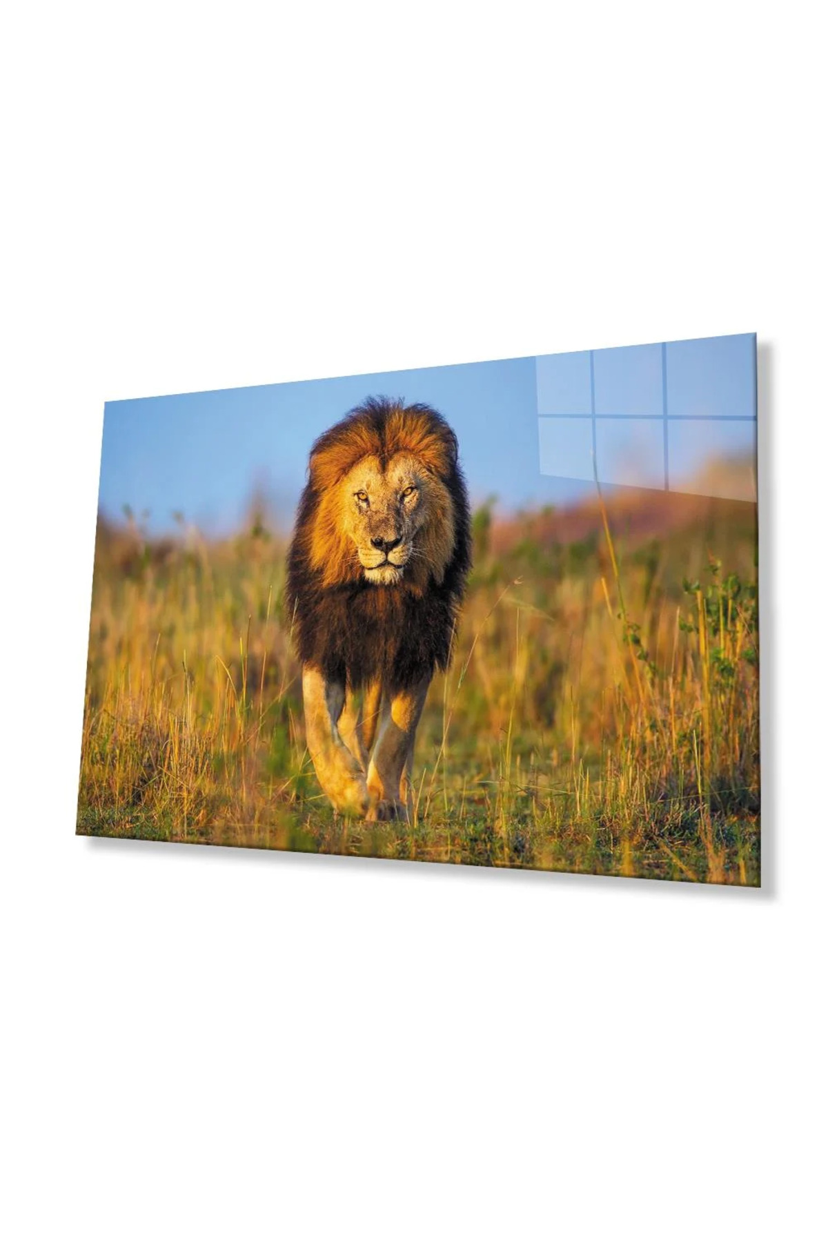 Aslan Cam Tablo-1