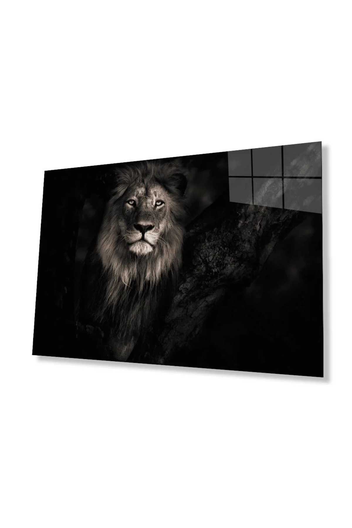 Aslan Cam Tablo-4