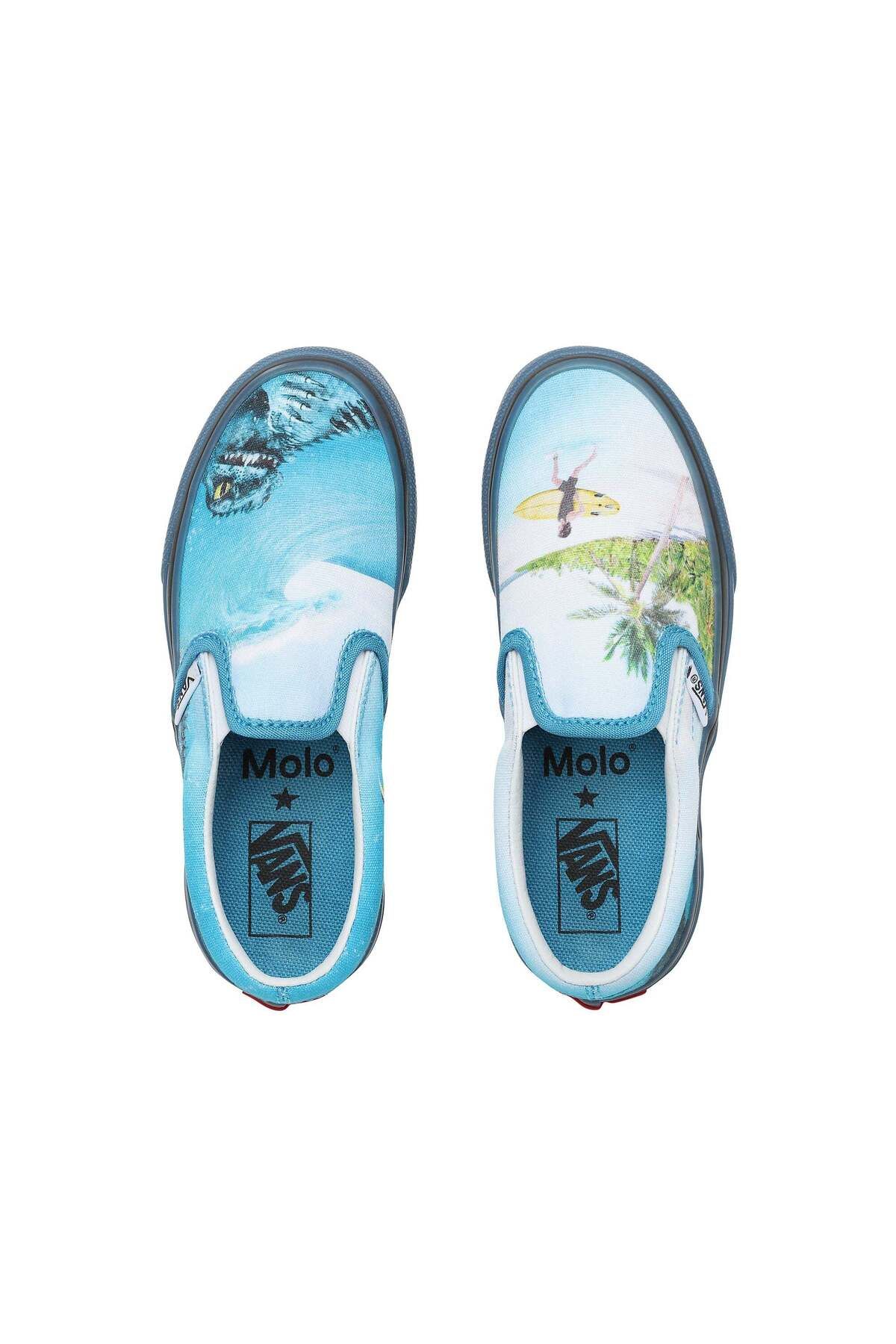Vans-Tenisi Slip-on Molo x VANS 2