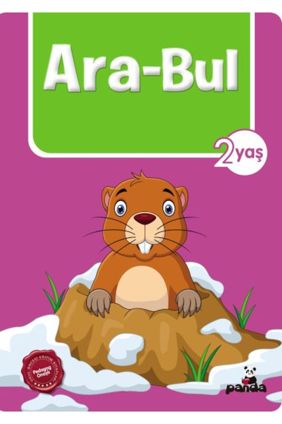 Destek Yayınları AraBul 2 Yaş