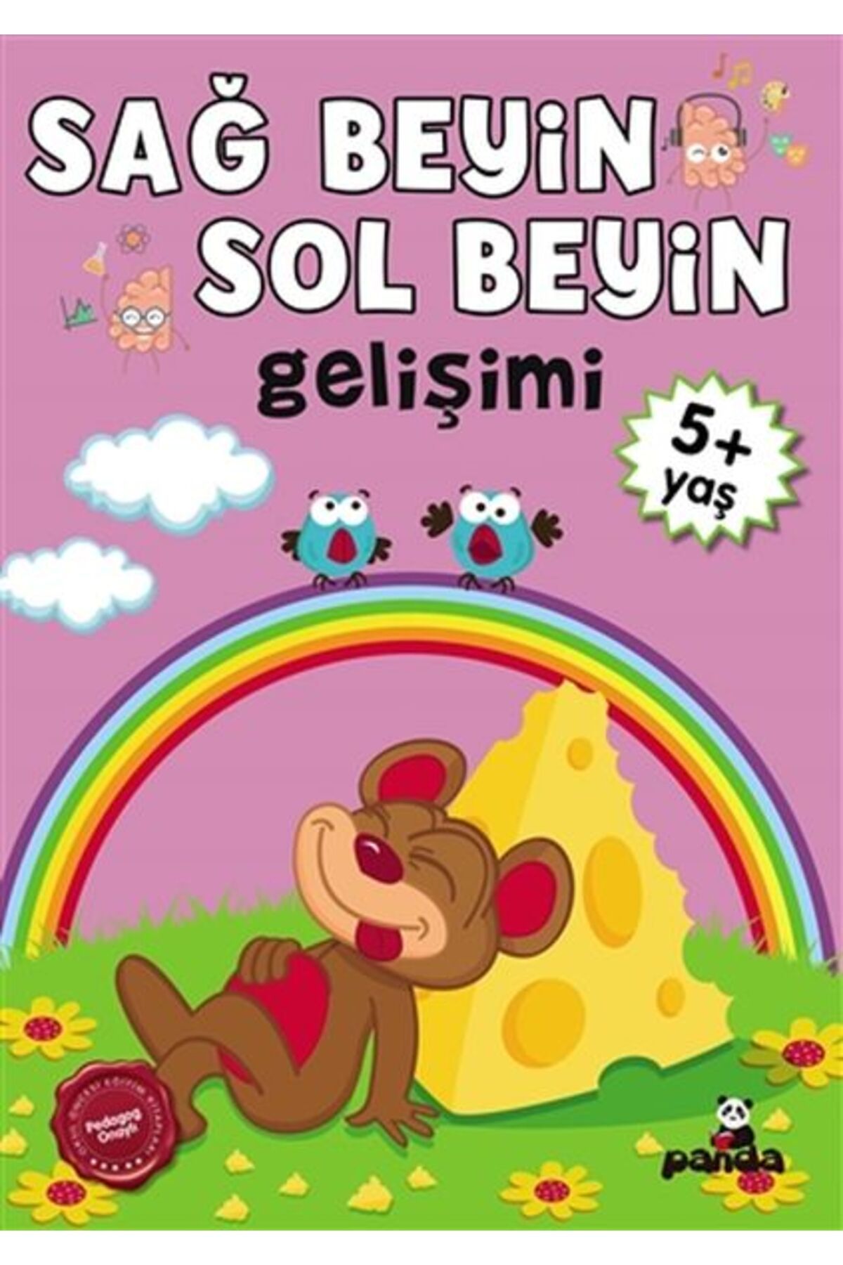 Destek Yayınları 5 Yaş Sağ BeyinSol Beyin Gelişimi
