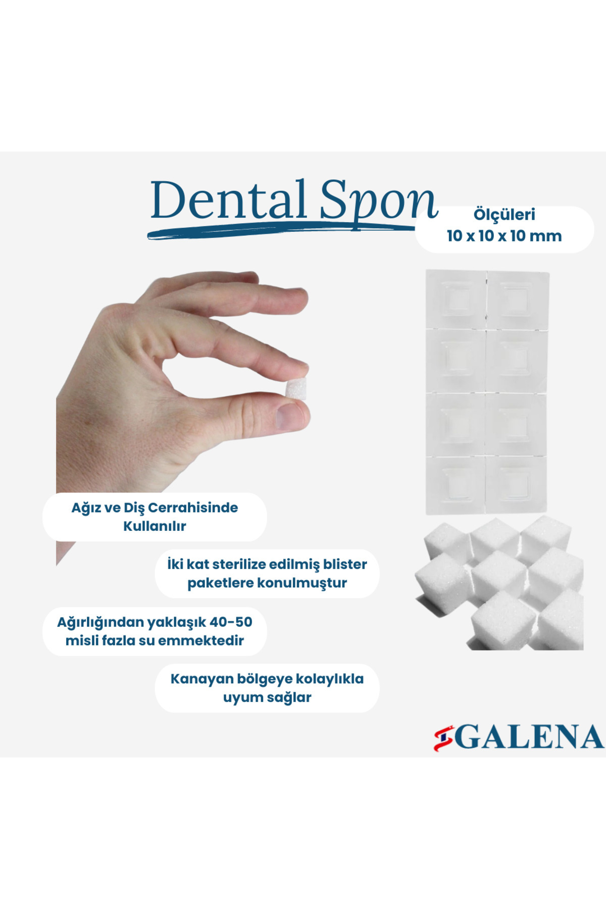 Galena Dental Spon