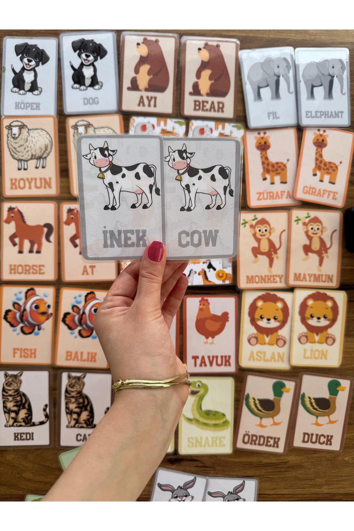 کارت‌های جفت‌کردنی آموزشی ترکی-انگلیسی حافظه حیوانات (پاره نشدنی و ضد پارگی)