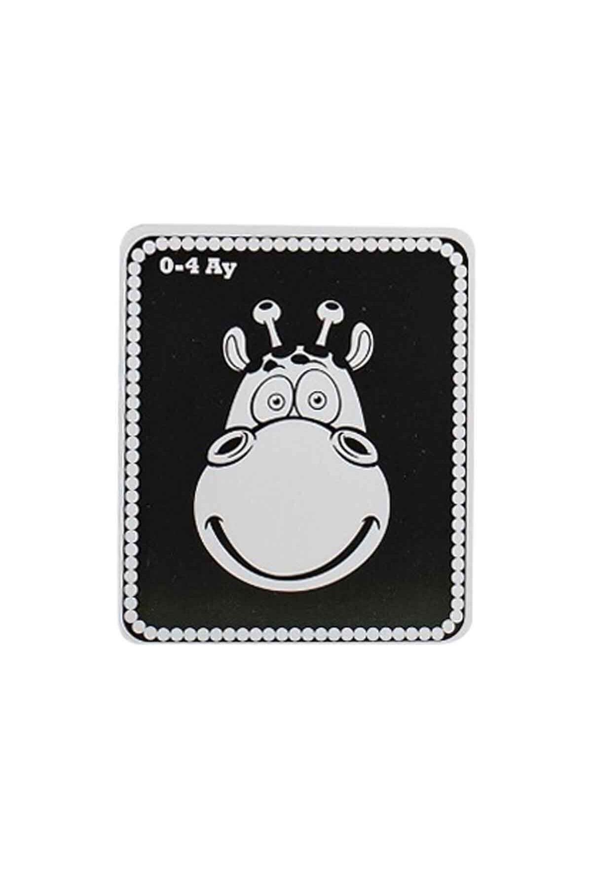 Diytoy Cards Book Bebeğim İlk Zeka Kartları fotoğrafı 3 (önizleme)