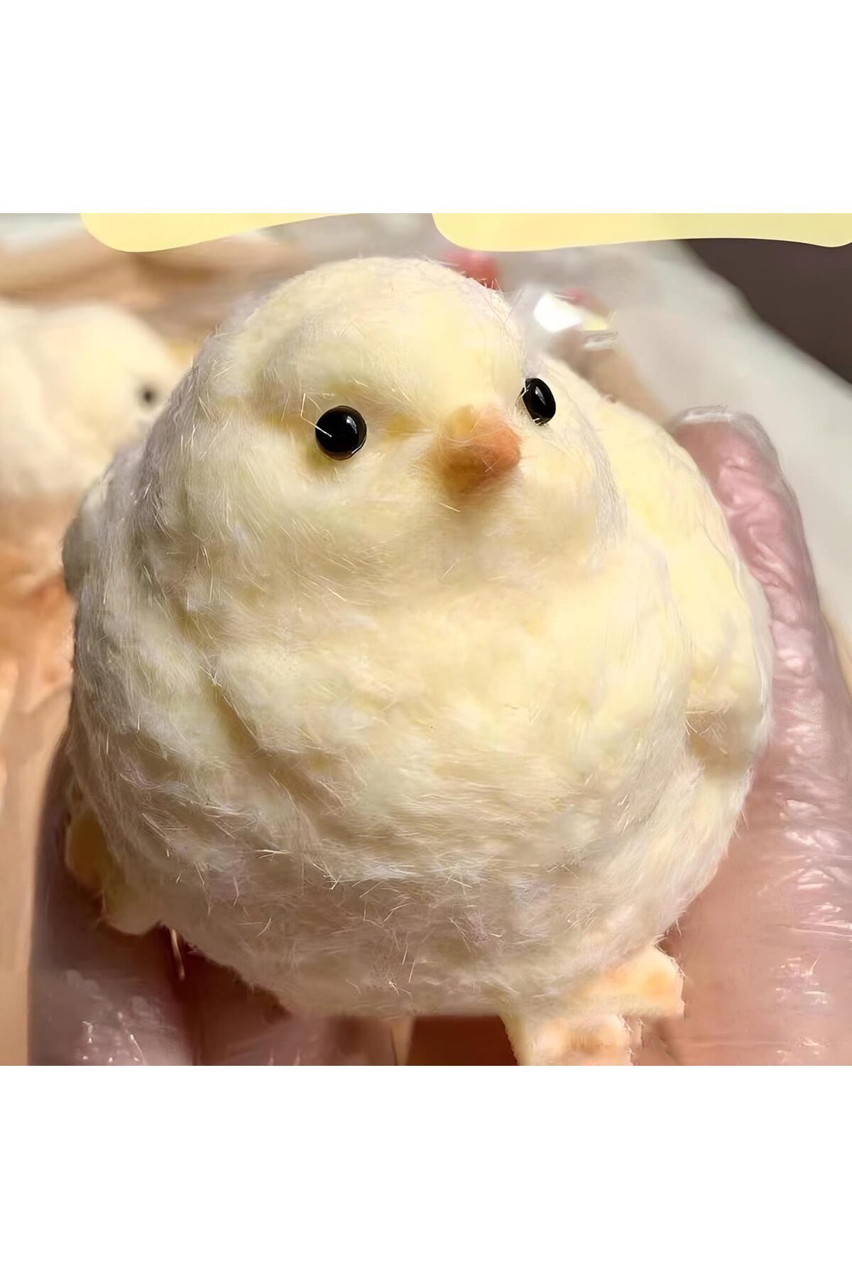 Civciv Taba Squishy, Taba Sukuşi, Stres Oyuncağı