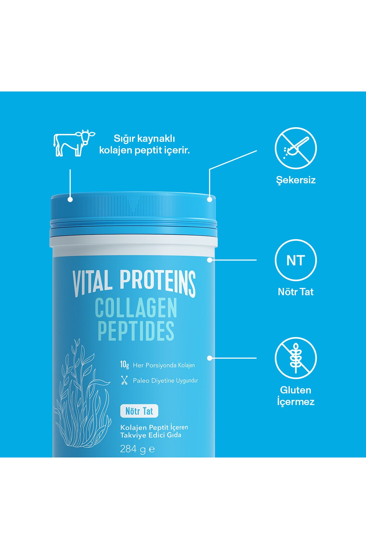 کلاژن پپتیدهای پپتید پودر نوع 1 و 3 عضله پوست پشتیبانی مو 284 گرم Vital Proteins