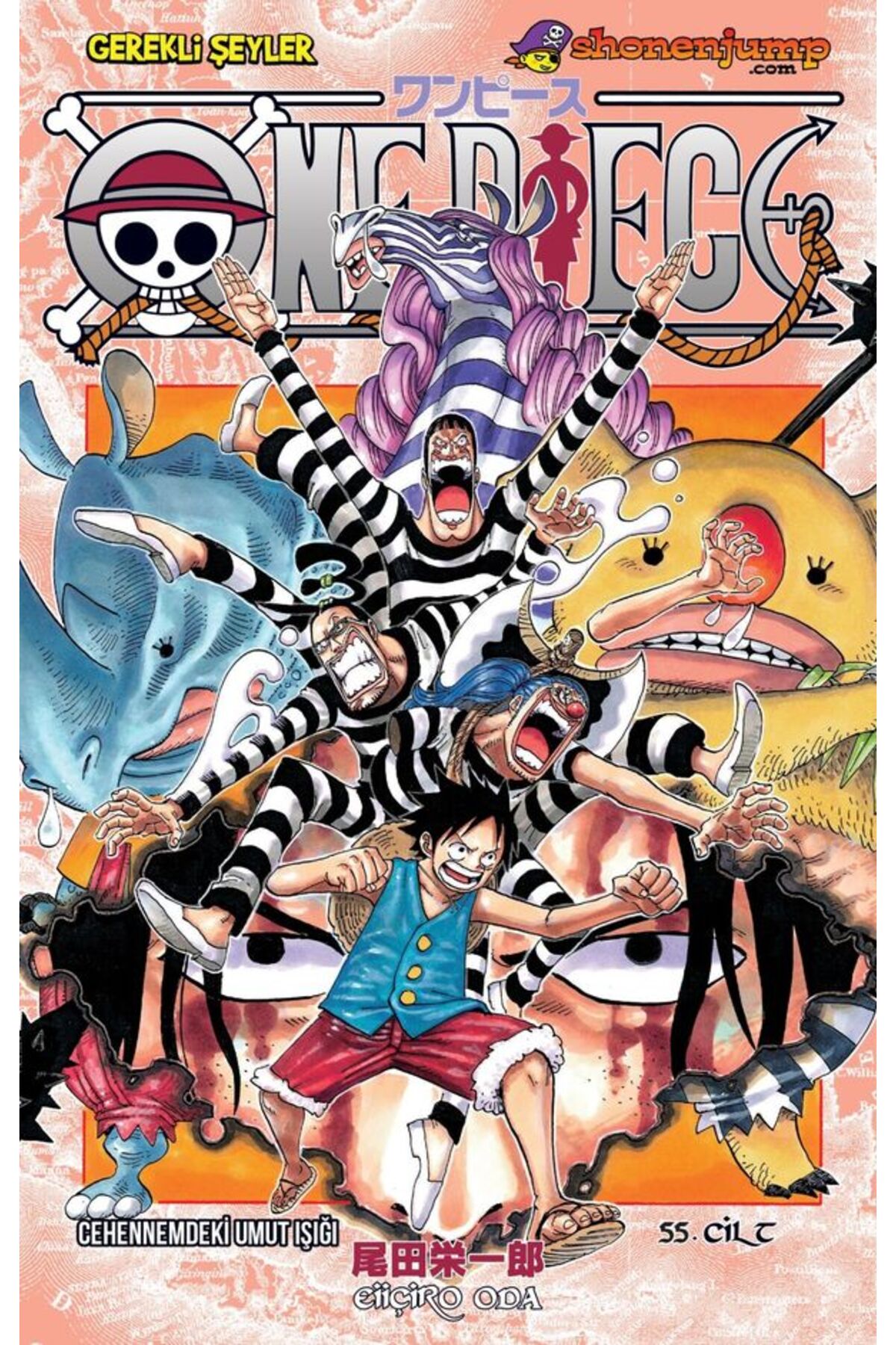 Gerekli Şeyler Yayıncılık One Piece 55. Cilt - Fiyatı, Yorumları