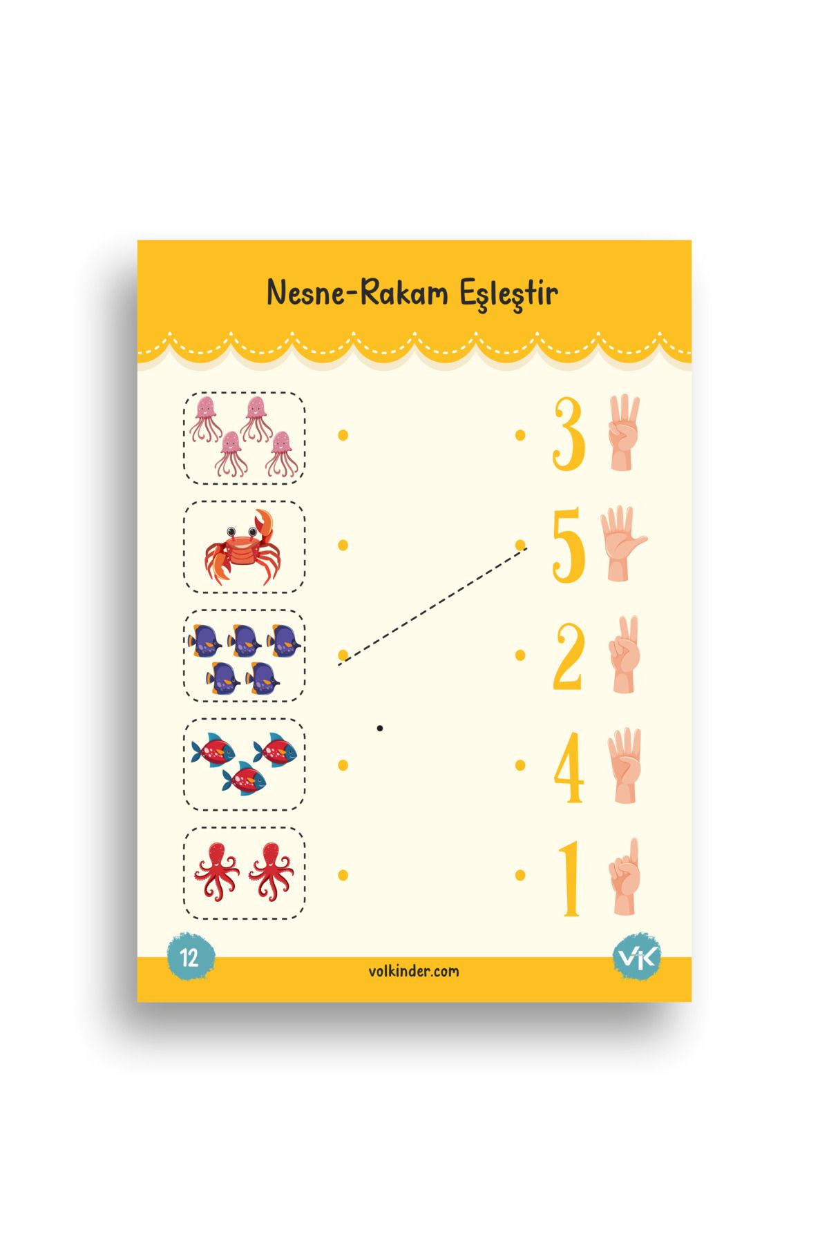 Dağ Yayıncılık-Draw Learn Repeat 4