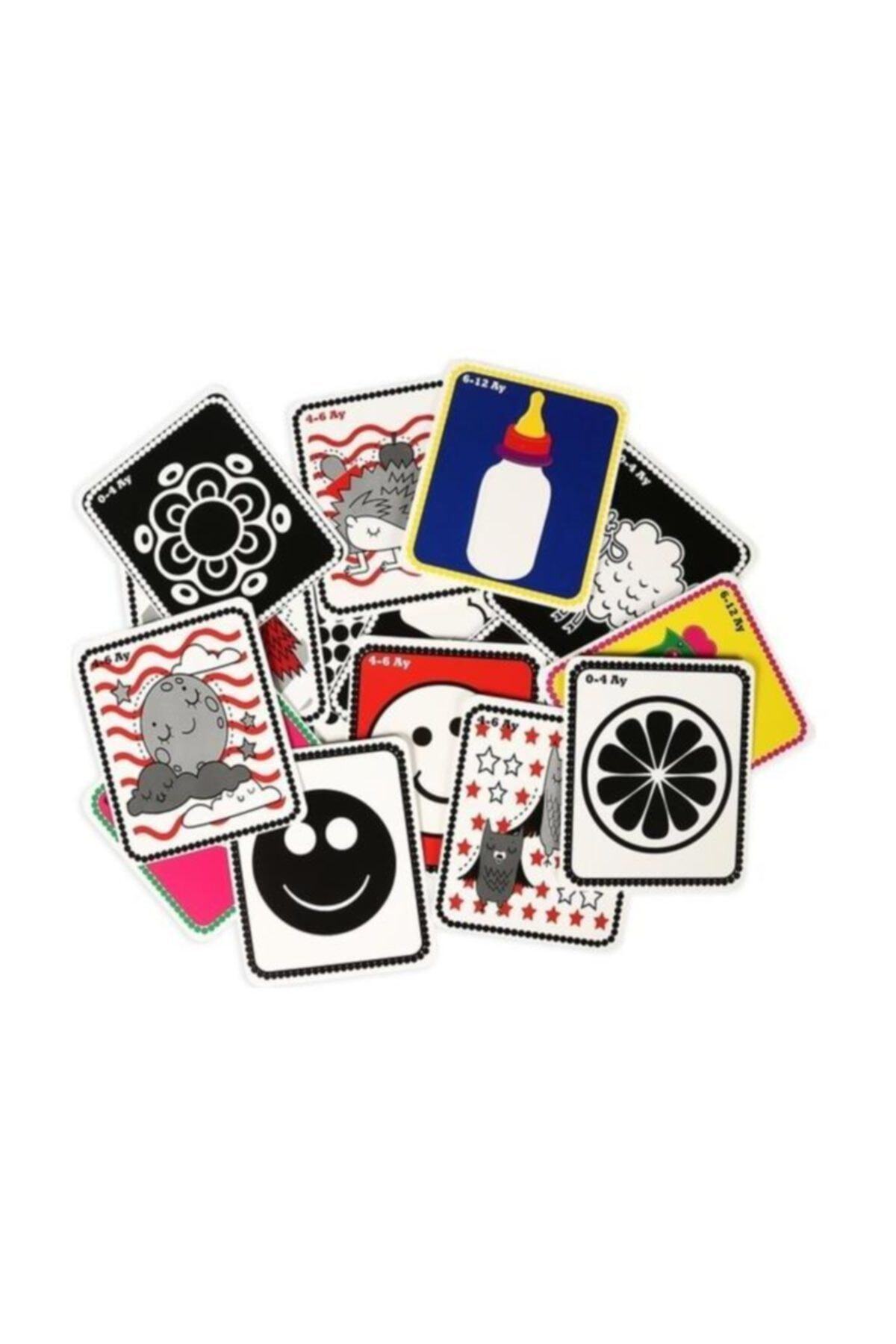 Diytoy 3'lü Flash Kart Seti (ilk 50 Sözcük Ilk Zeka Kartları Ve Ilk 50 Meyve Sebze) fotoğrafı 5 (önizleme)