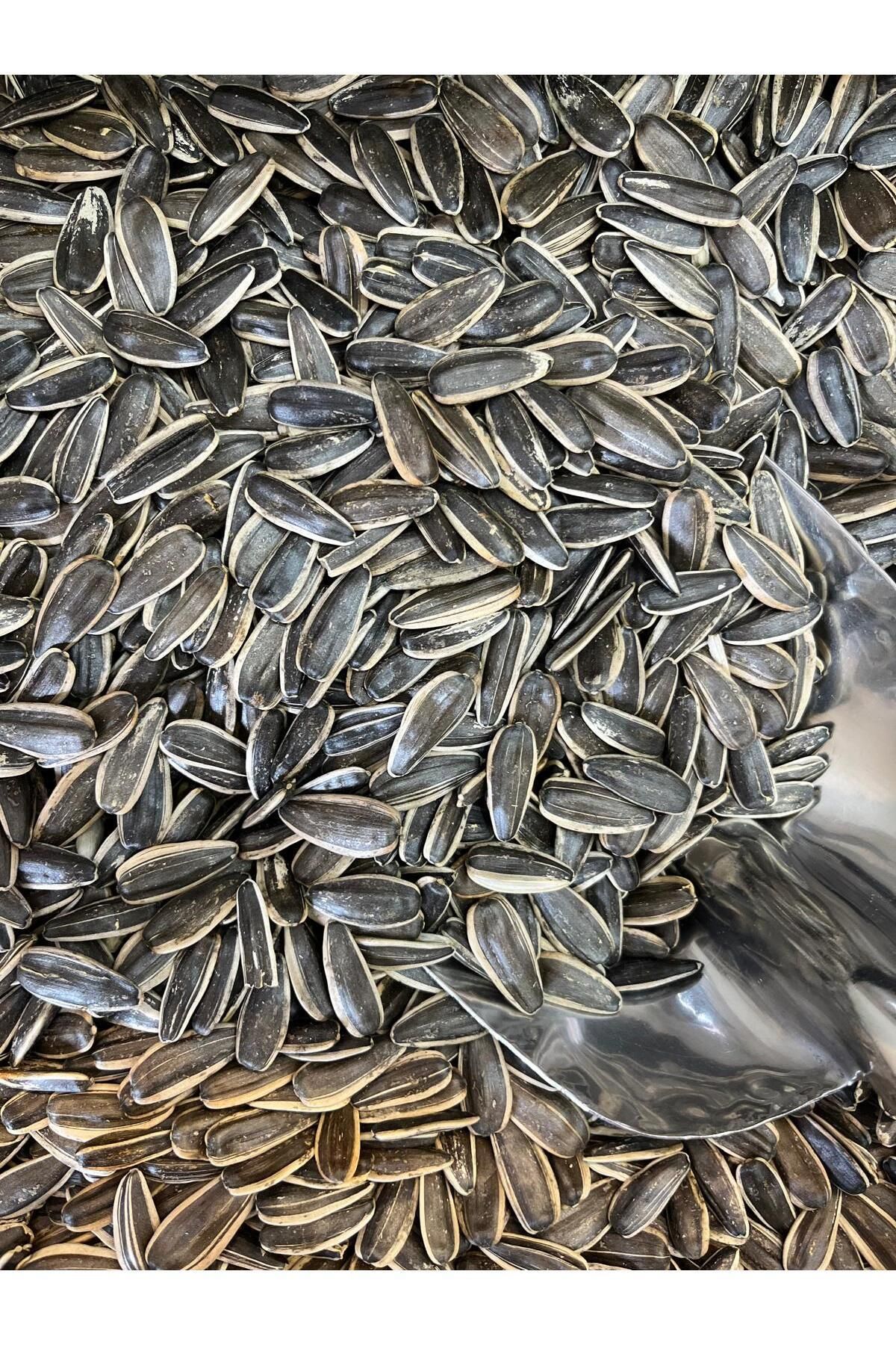 DEVREZ ÇEREZ Siyah Tuzsuz Iri Dakota Ayçekirdeği 1 Kg