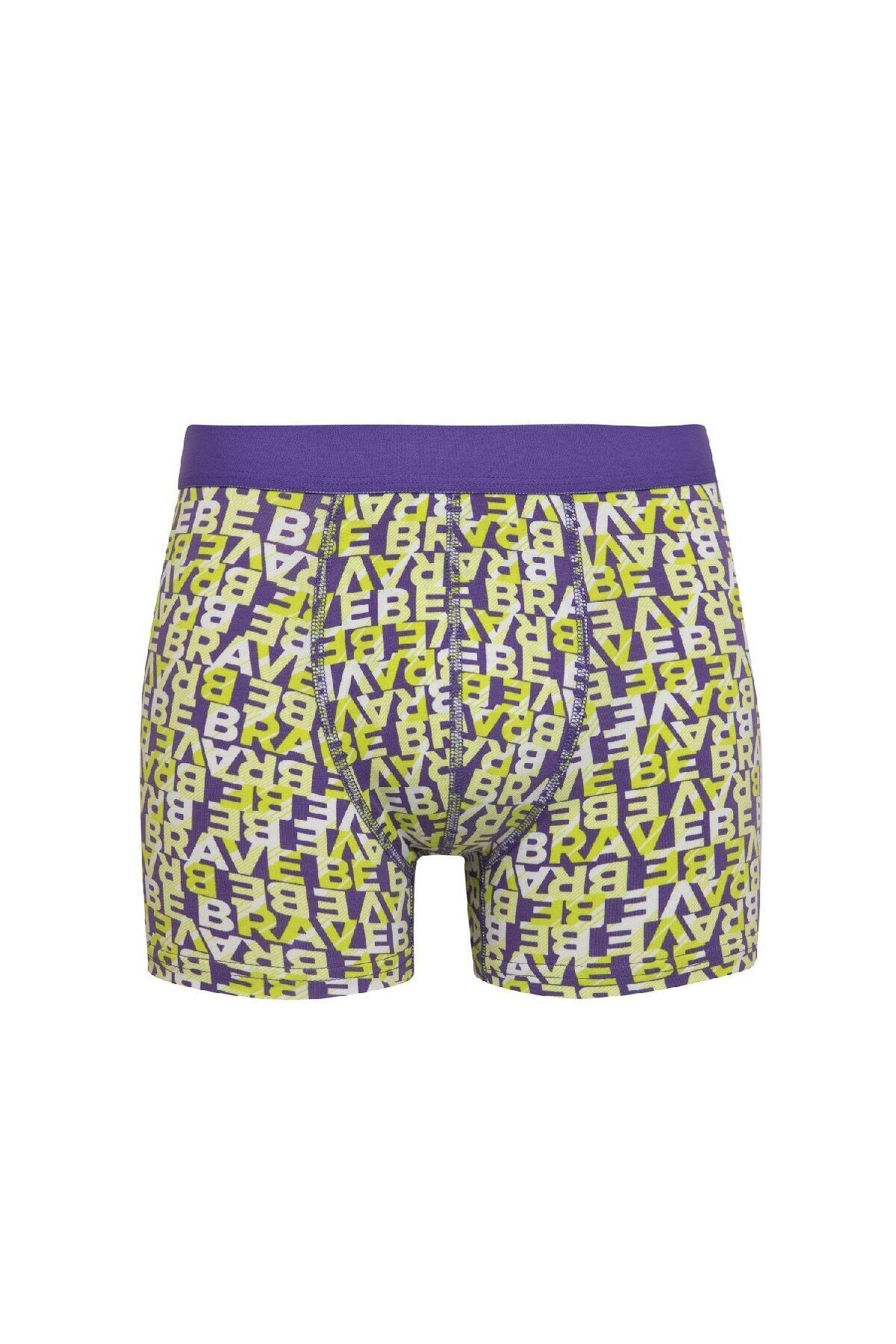 DeFacto-Regular Fit 3 Boxer B7968Ax24Sp 2