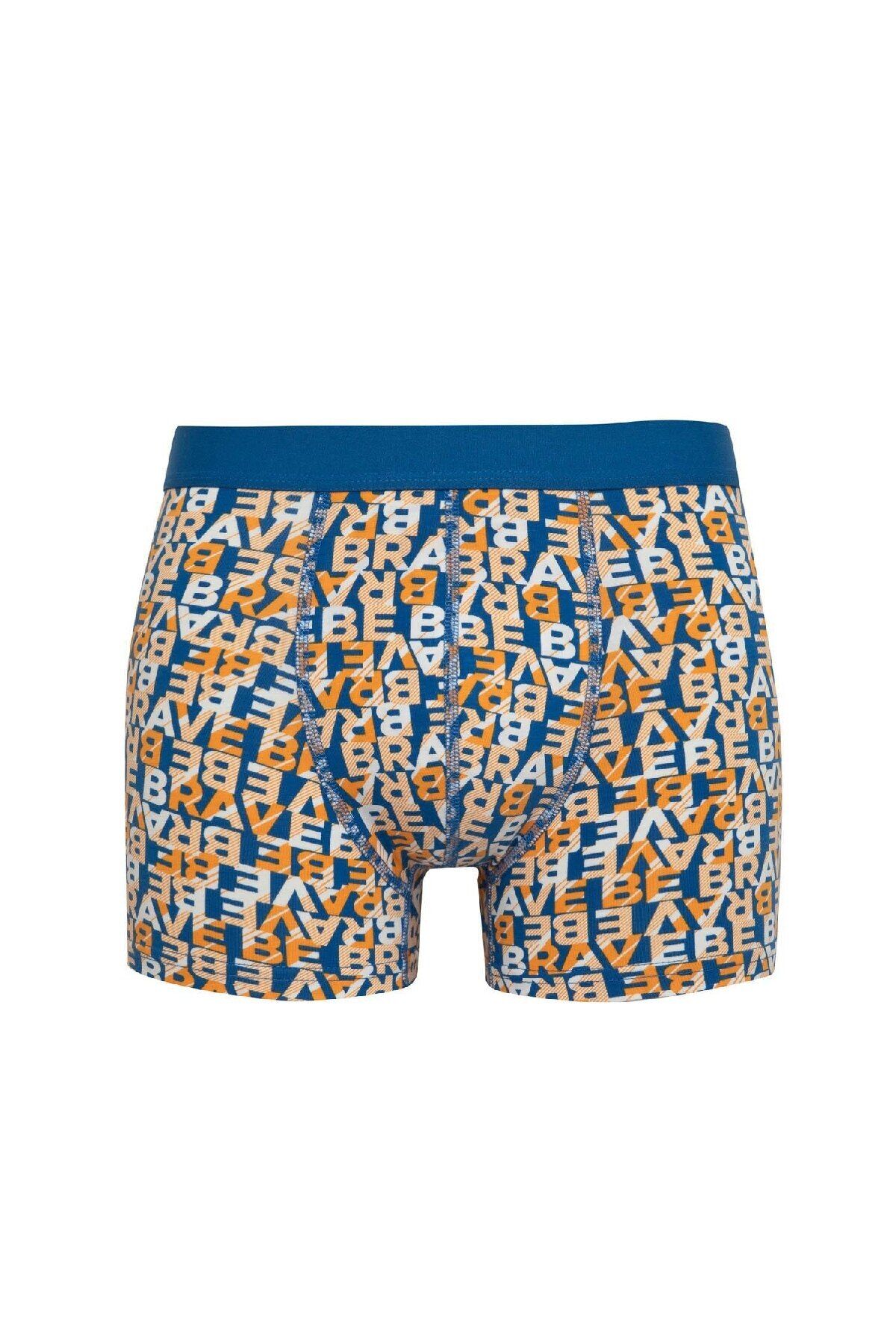 DeFacto-Regular Fit 3 Boxer B7968Ax24Sp 5