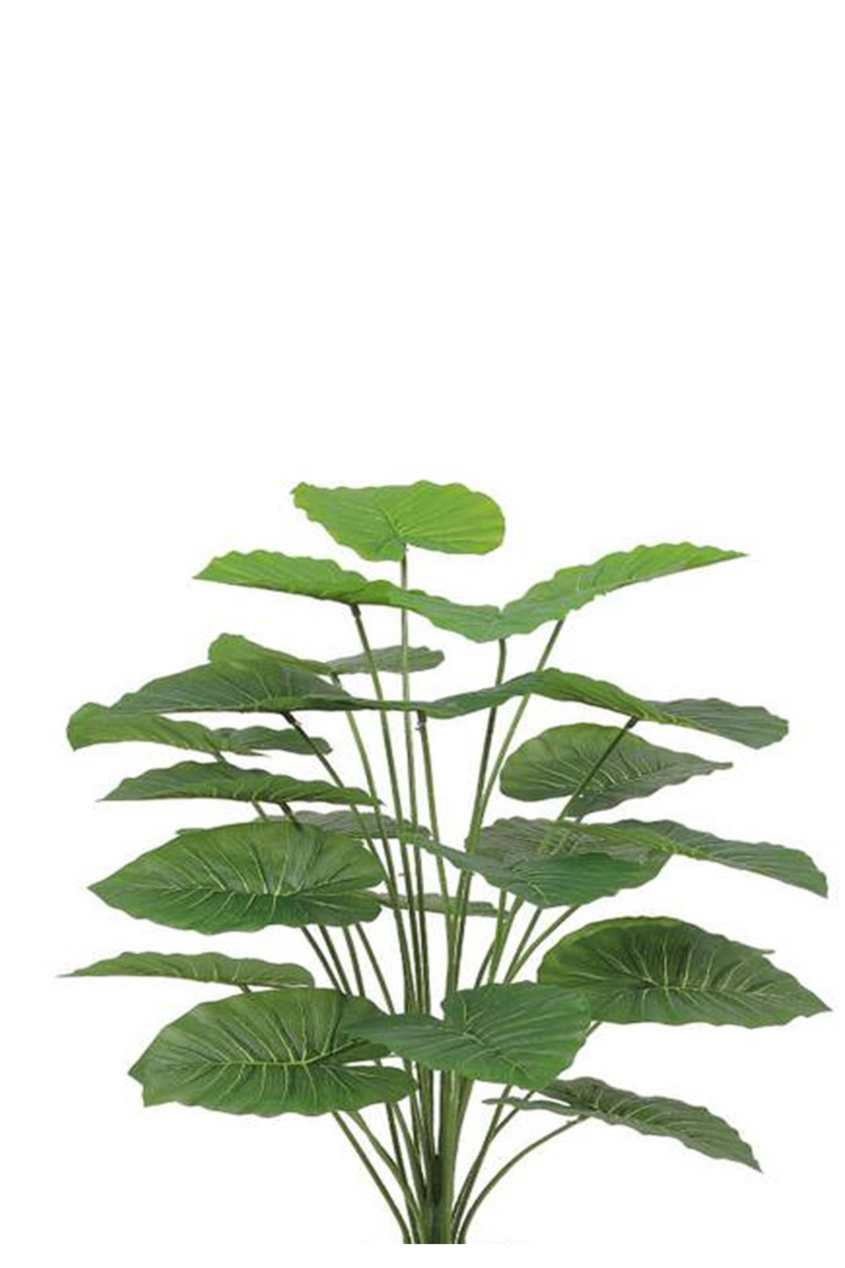 Generic-Artificial Alocasia Heart Leaf Seedling in Round Plastic Pot 2