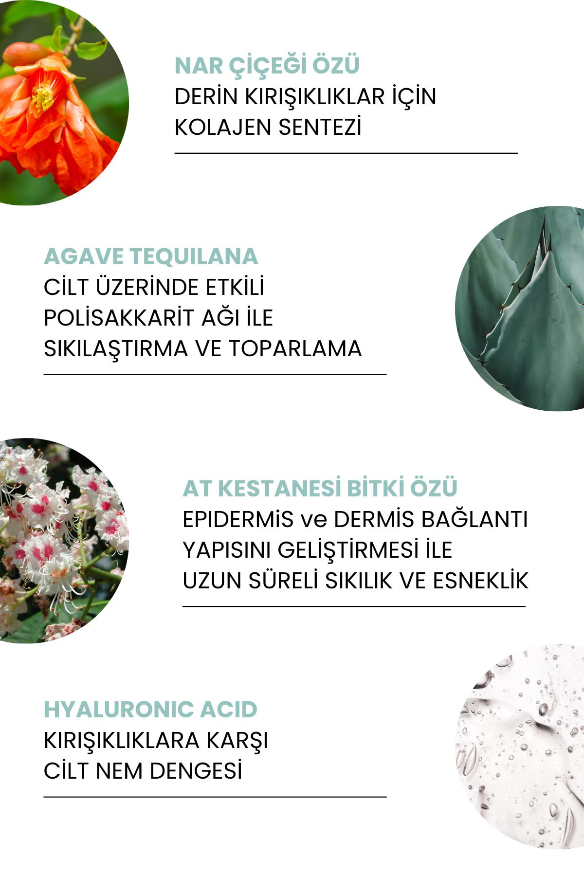 Sheida-Mineral Ultimate Instant Botox Effect Lifting and Anti-Aging Sleeping Mask - 60ml 3