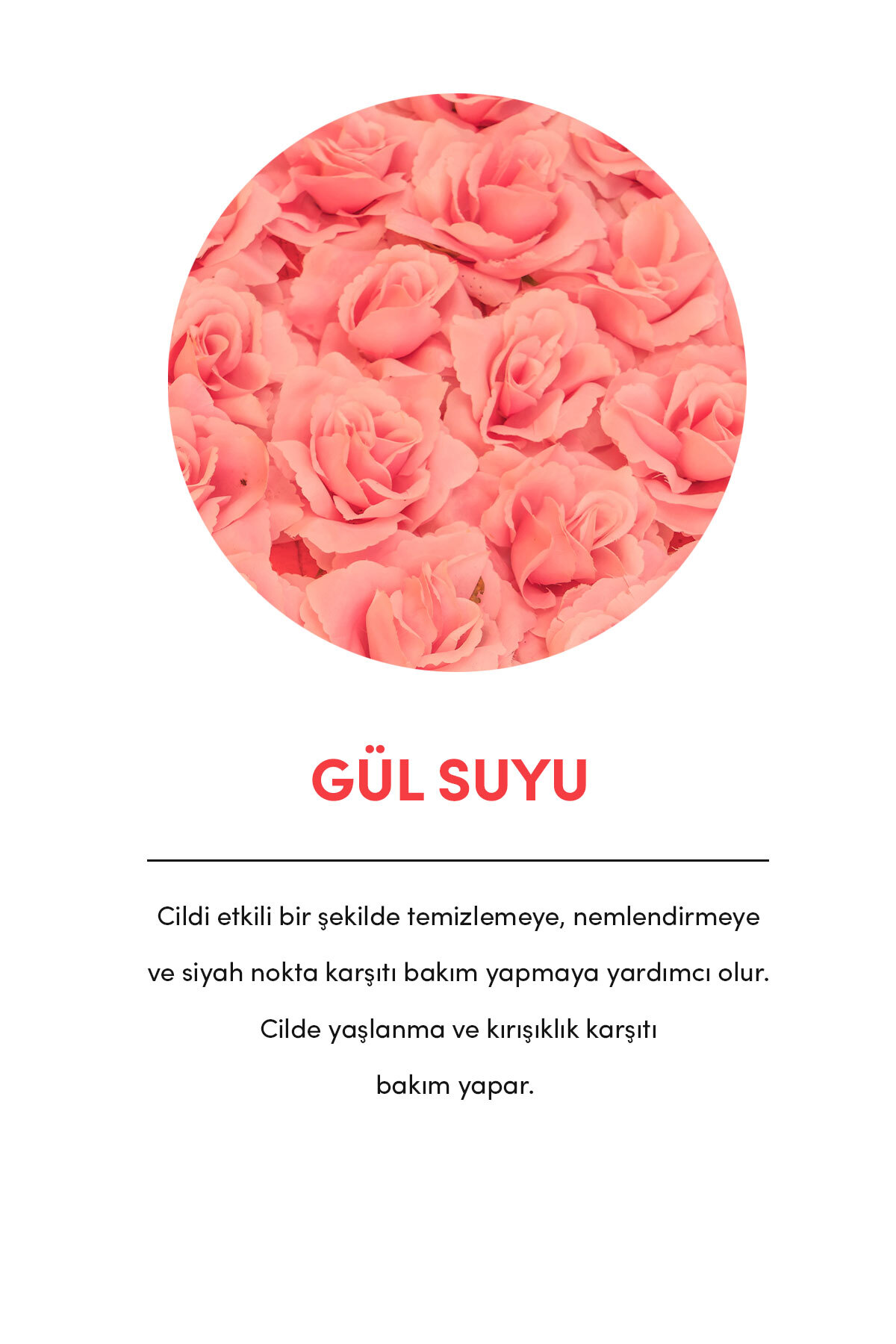Premium Gül Suyu 50 ml — 8684215391140 — تصویر 5 از 7