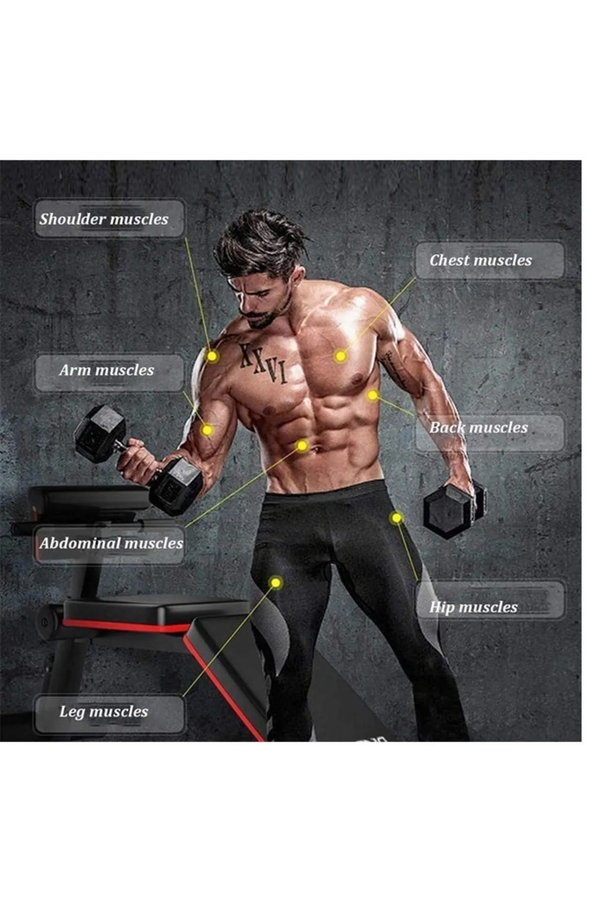 Fitness World-مقعد رفع الأثقال القابل للتعديل، مقعد صالة الألعاب الرياضية المنزلية مع مقعد تدريب متعدد الوظائف مع الدمبل 6