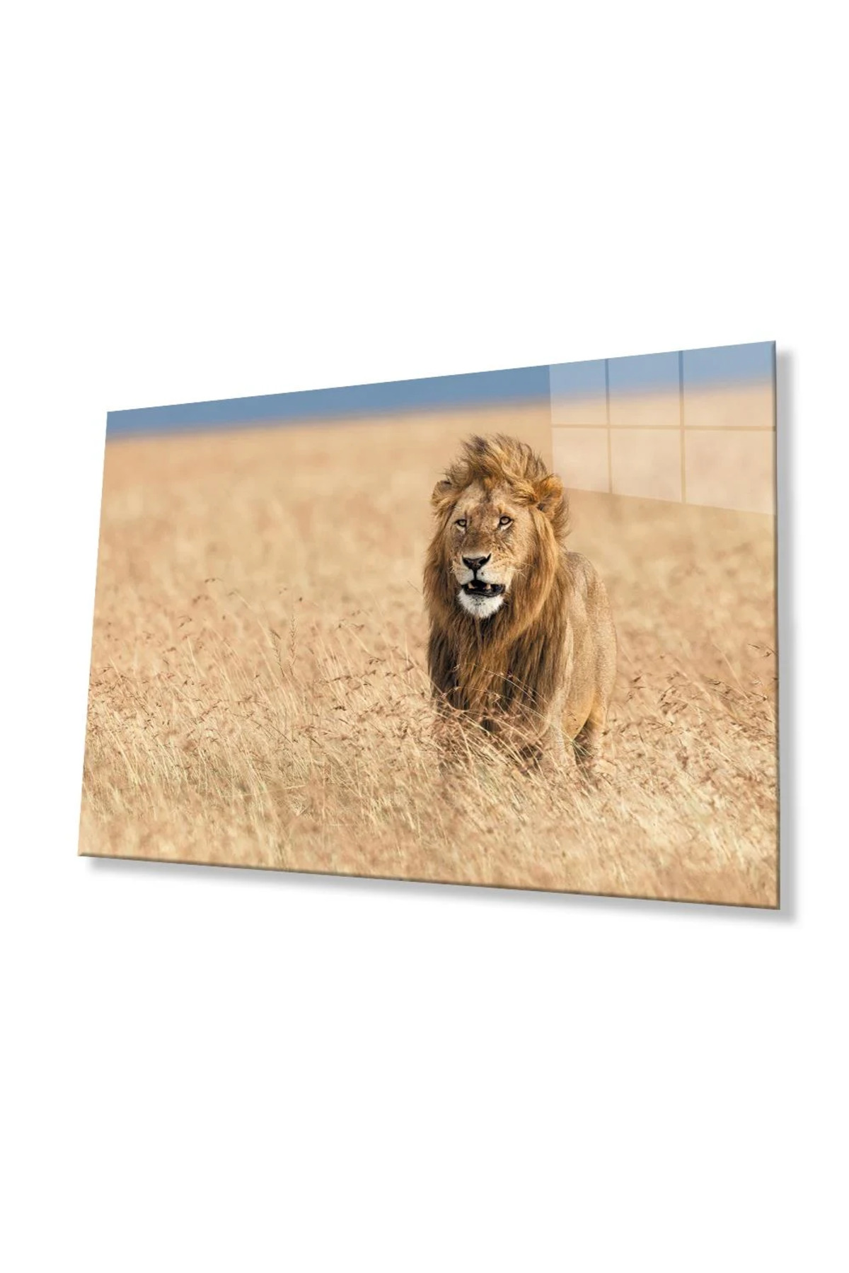 Aslan Cam Tablo-3