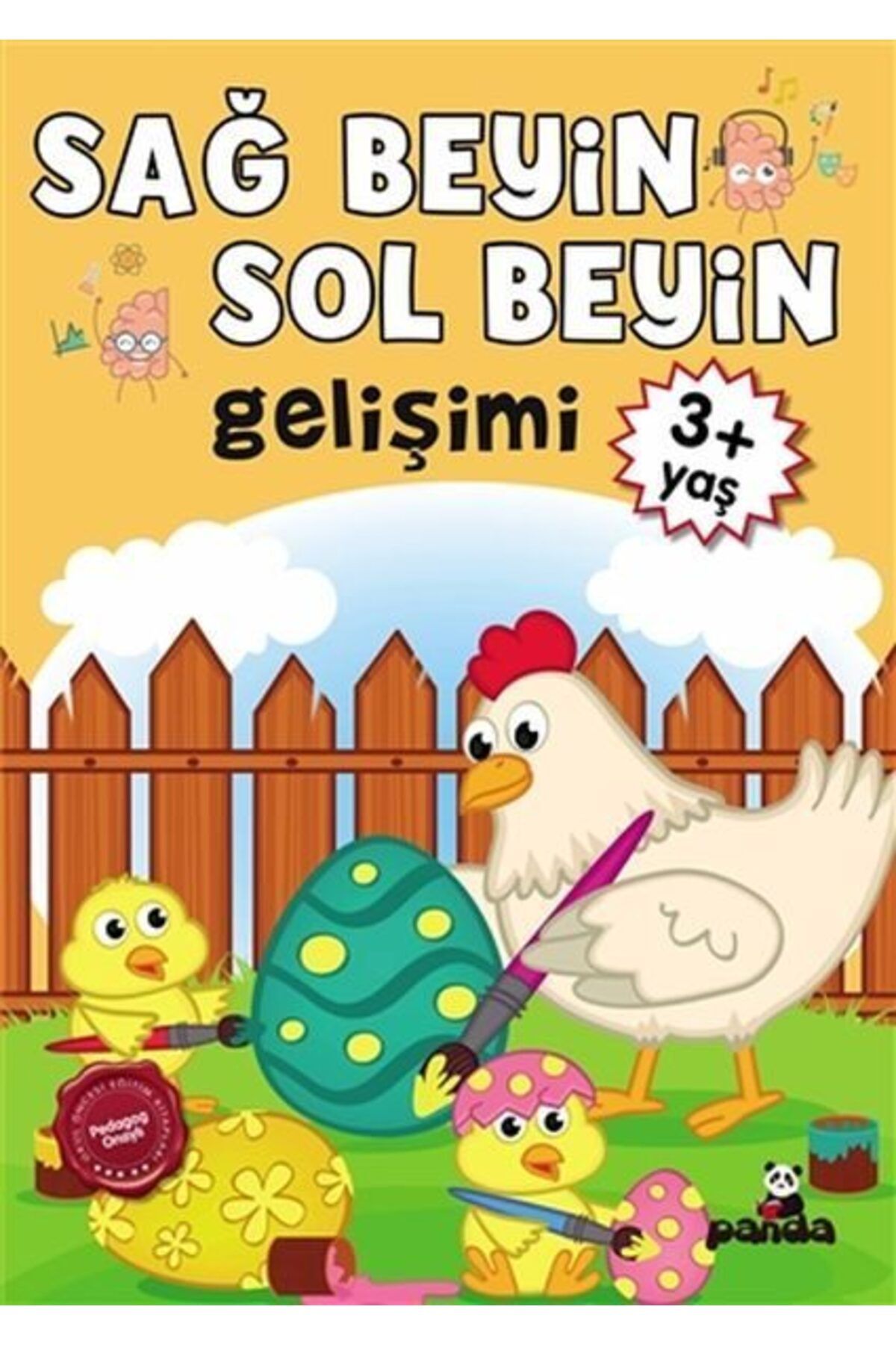 Destek Yayınları 3 Yaş Sağ BeyinSol Beyin Gelişimi